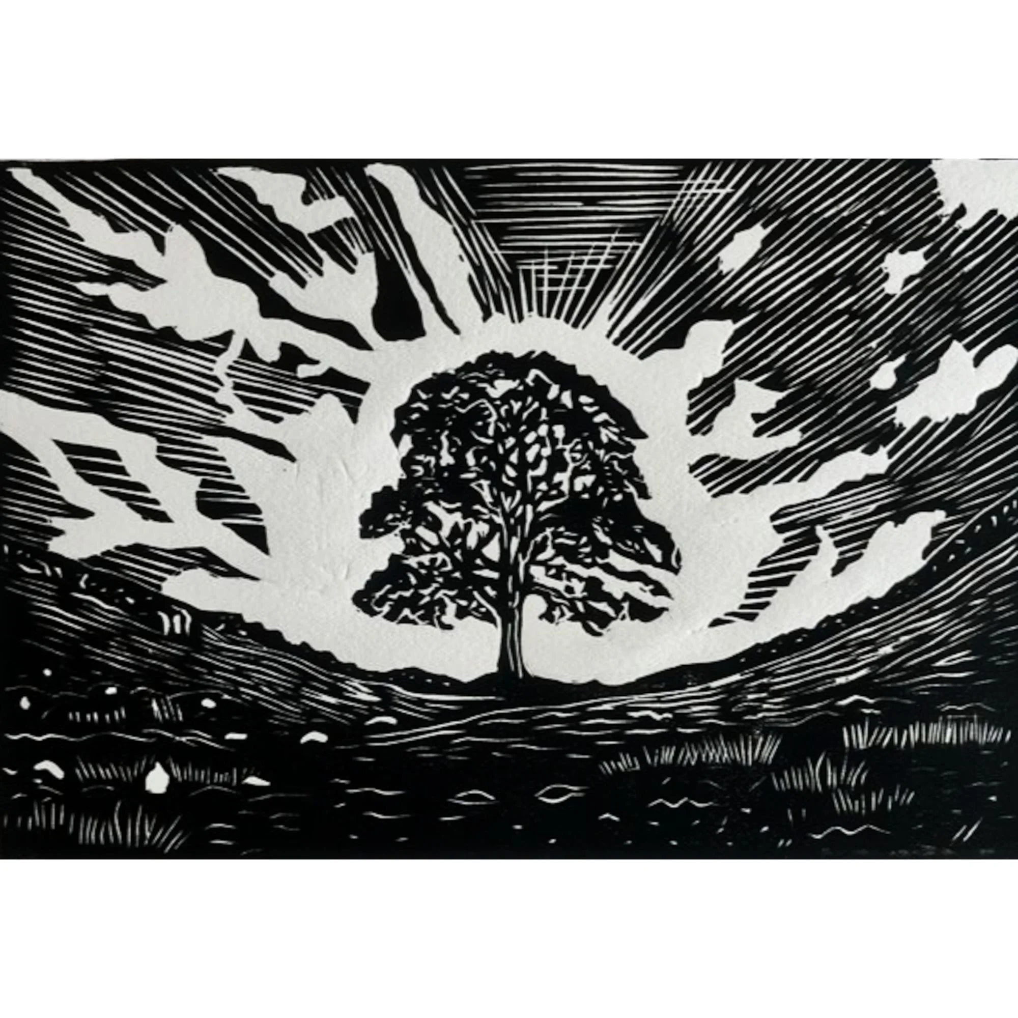 Tribute to the Sycamore Gap, Northumberland