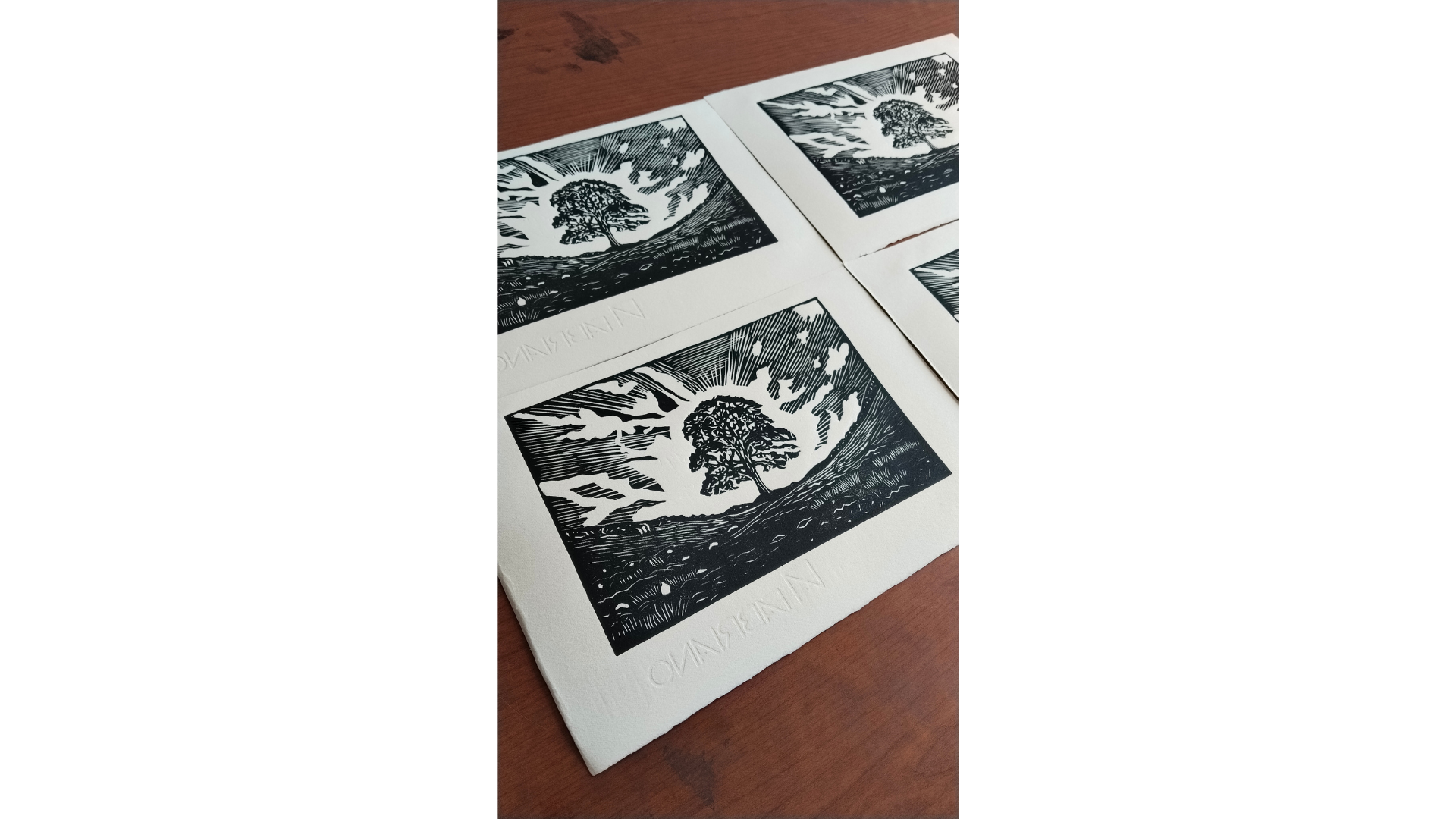 Sycamore Gap tree, Northumberland linocut.png