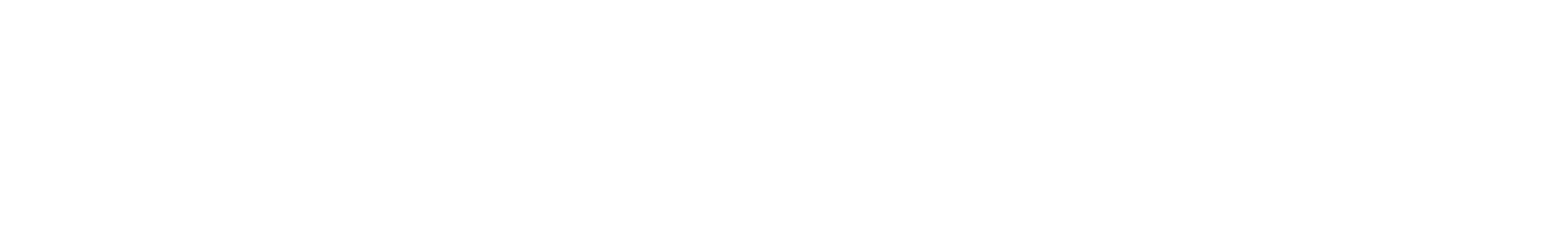 DSN+BD Studios