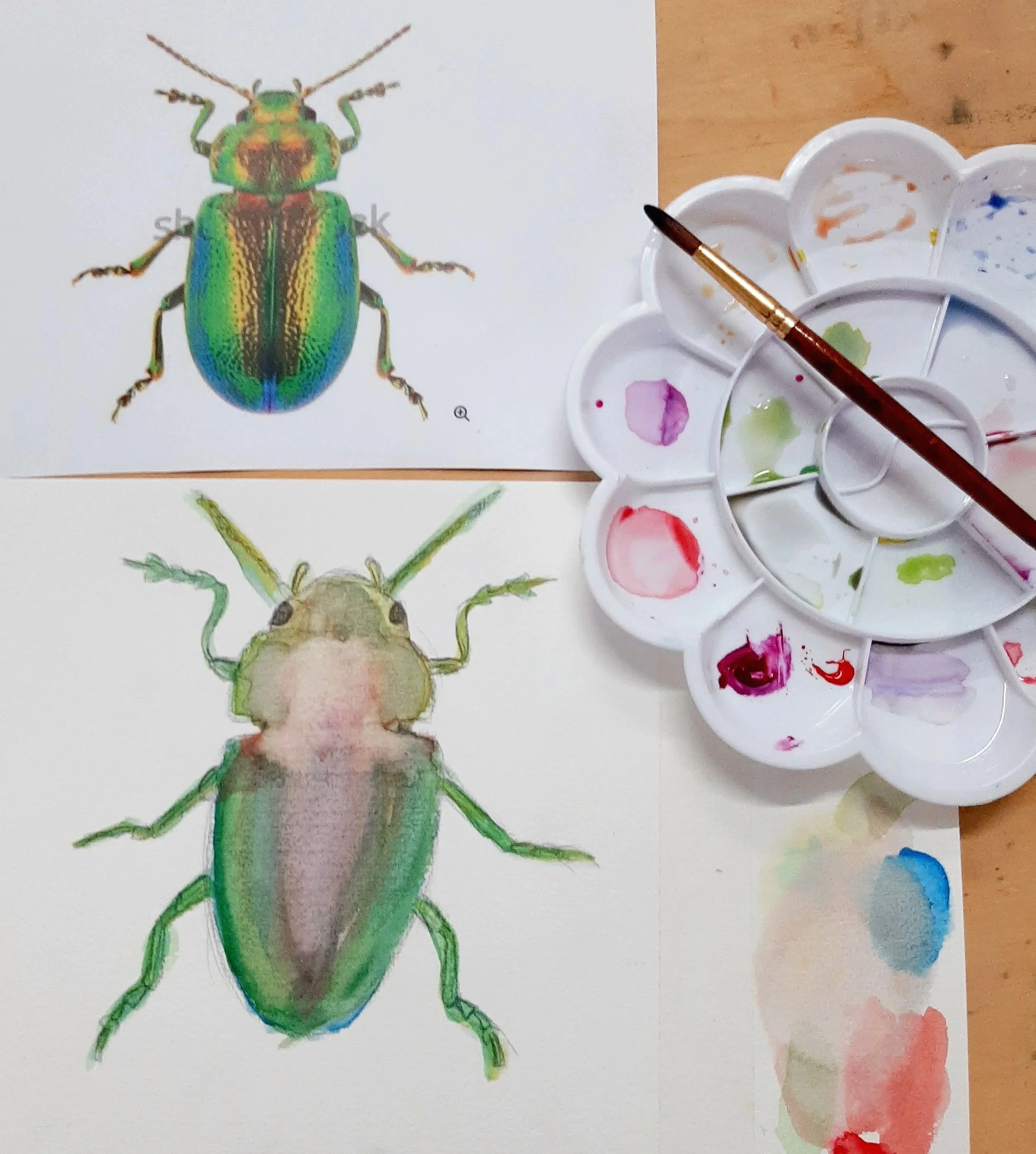Beetles and minibeast KS1 watercolours with fine liner pen details. Learning about colour mixing, layering and creating details through mark-making.