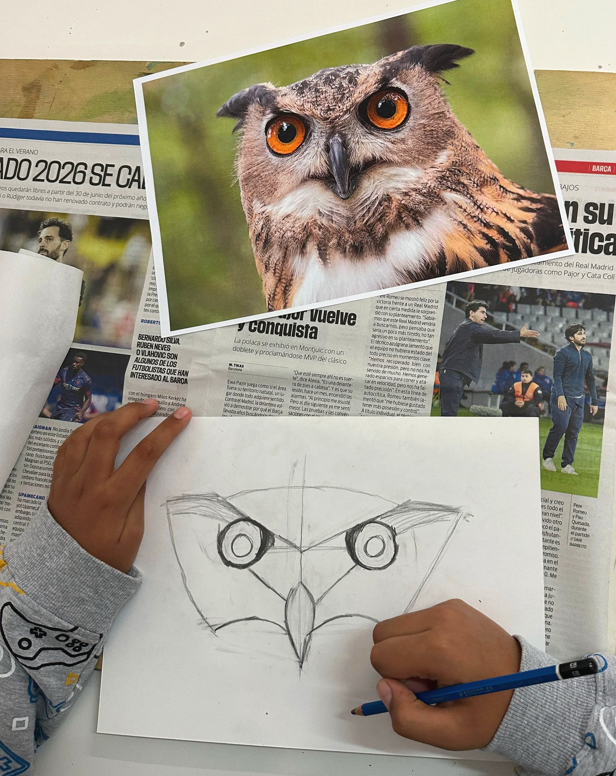 Owl acrylic painting - can be linked to KS2 animals and living beings and their habitats. Colour mixing, complementary colours and using different techniques such as impasto for creating texture.