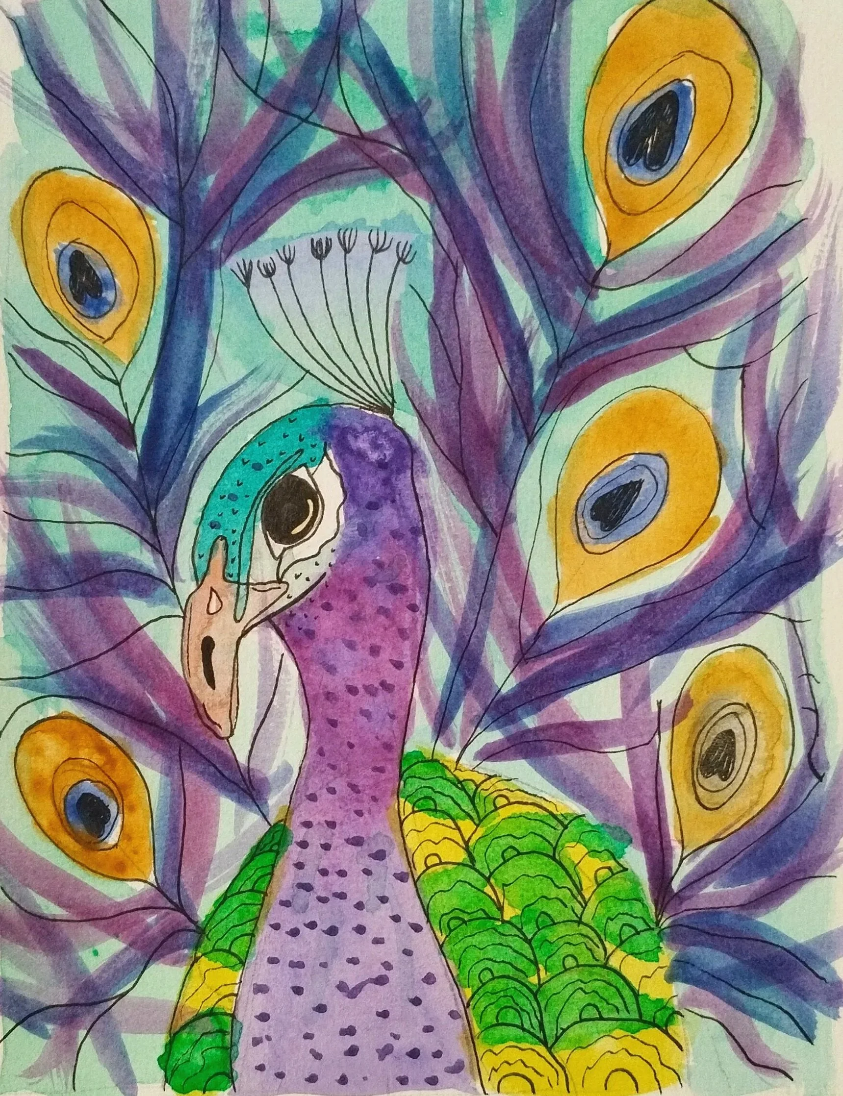 Peacock watercolour painting - can be linked to KS1 and KS2 animals and living beings and their habitats. It includes an introduction to colour mixing, layering and applying details with fine-liner pens. 