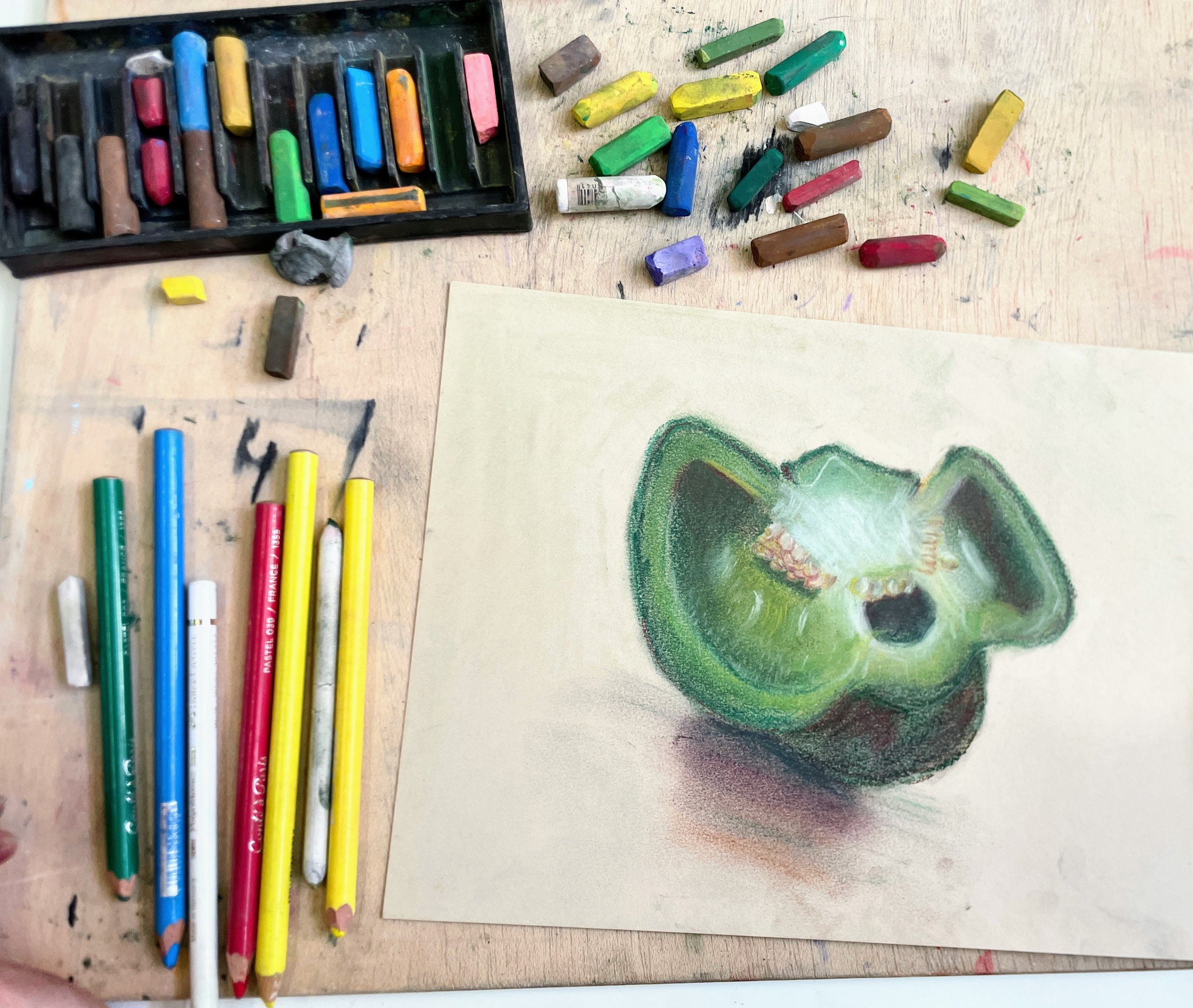 Colour pastel drawing from observation