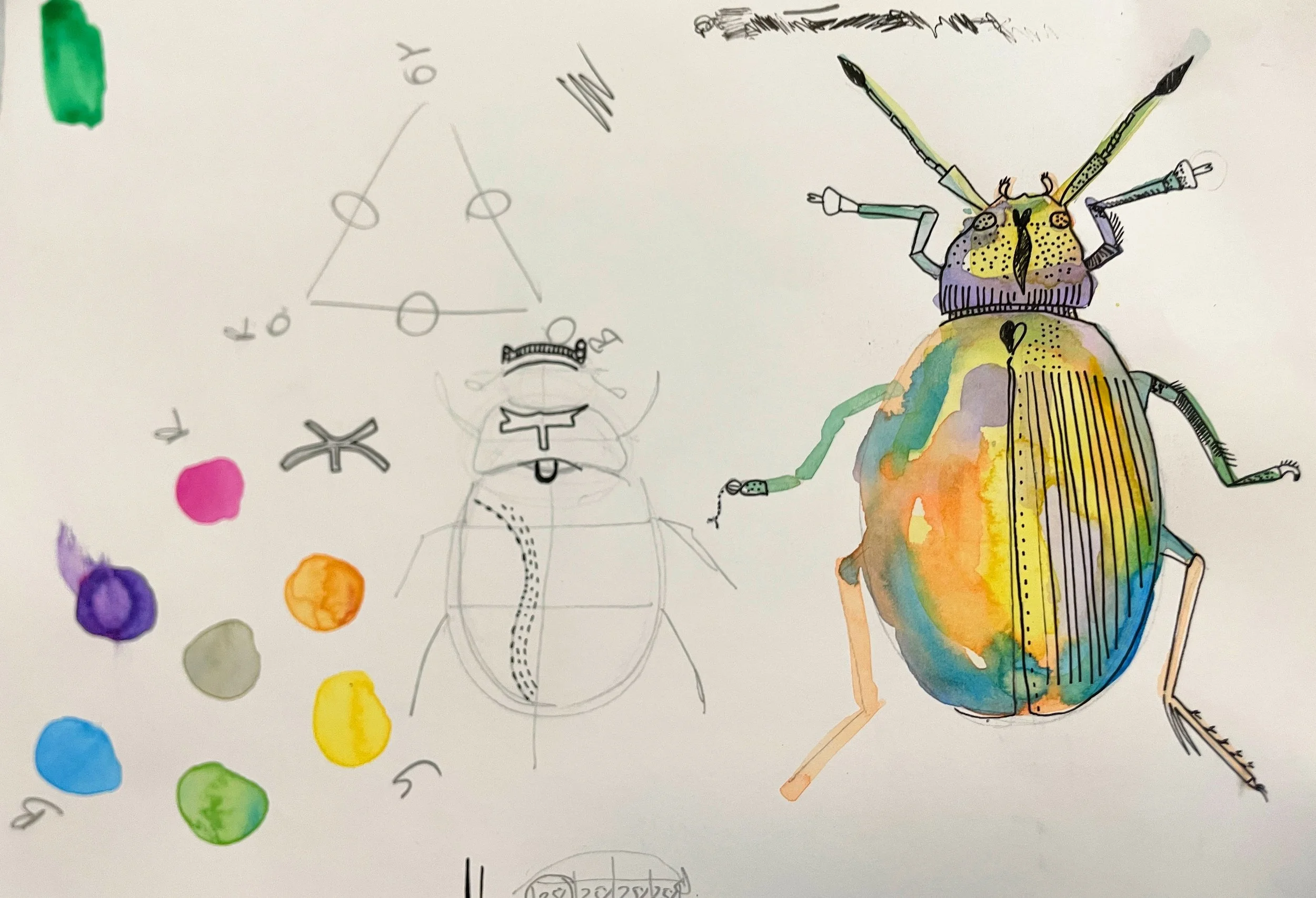 Beetles and minibeast KS1 watercolours with fine liner pen details. Learning about colour mixing, layering and creating details through mark-making.