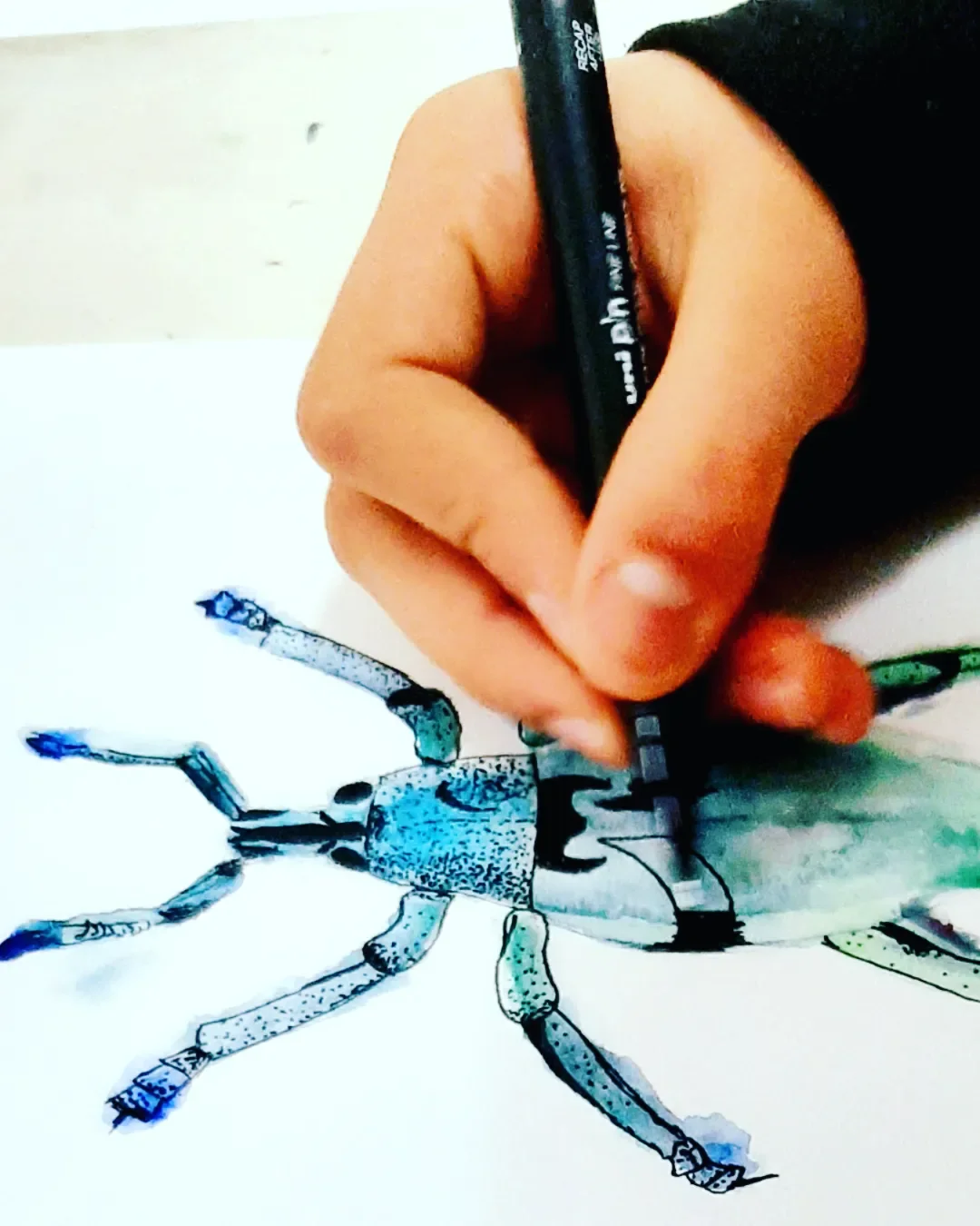 Beetles and minibeast KS1 watercolours with fine liner pen details. Learning about colour mixing, layering and creating details through mark-making.