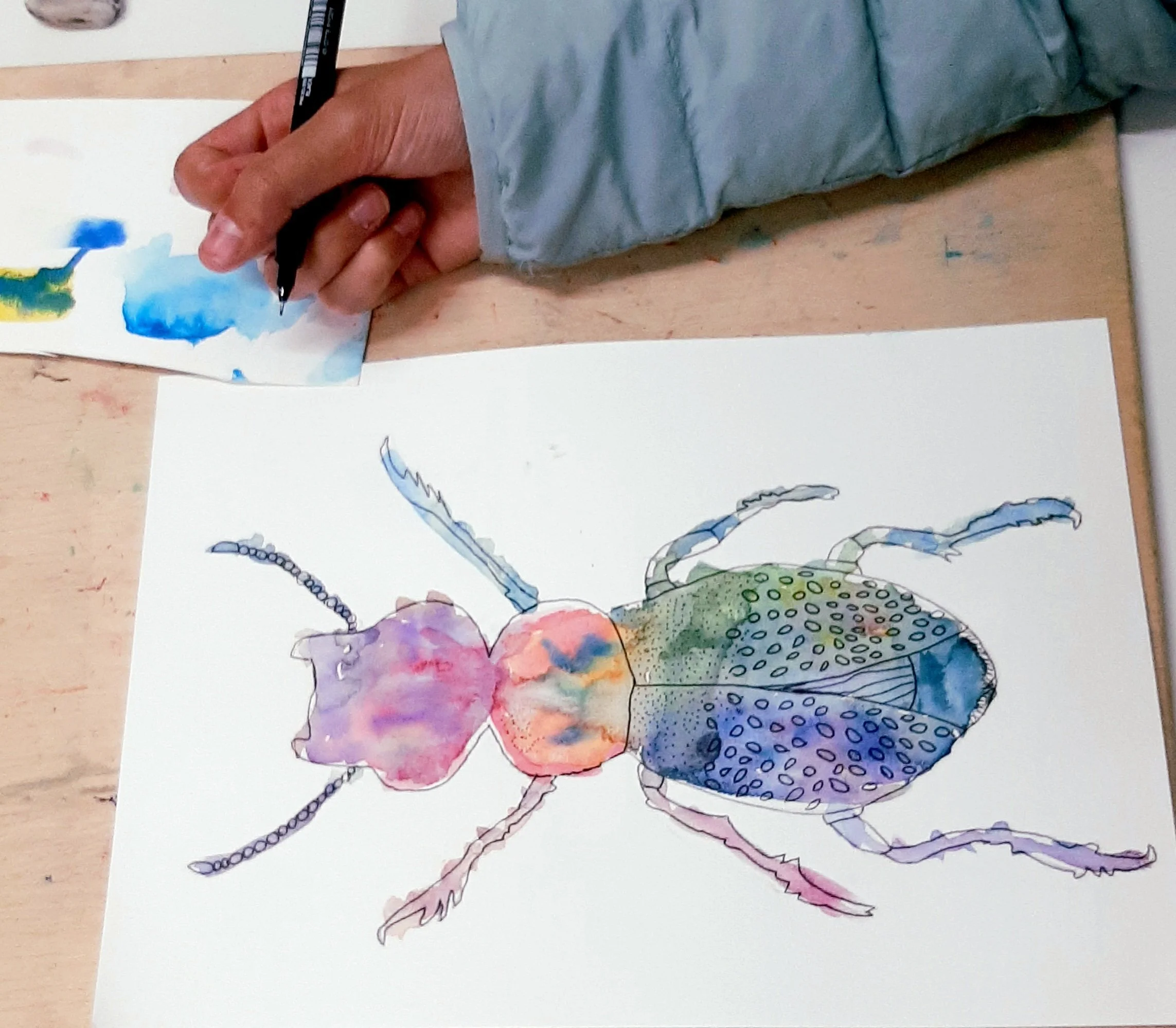 Beetles and minibeast KS1 watercolours with fine liner pen details. Learning about colour mixing, layering and creating details through mark-making.