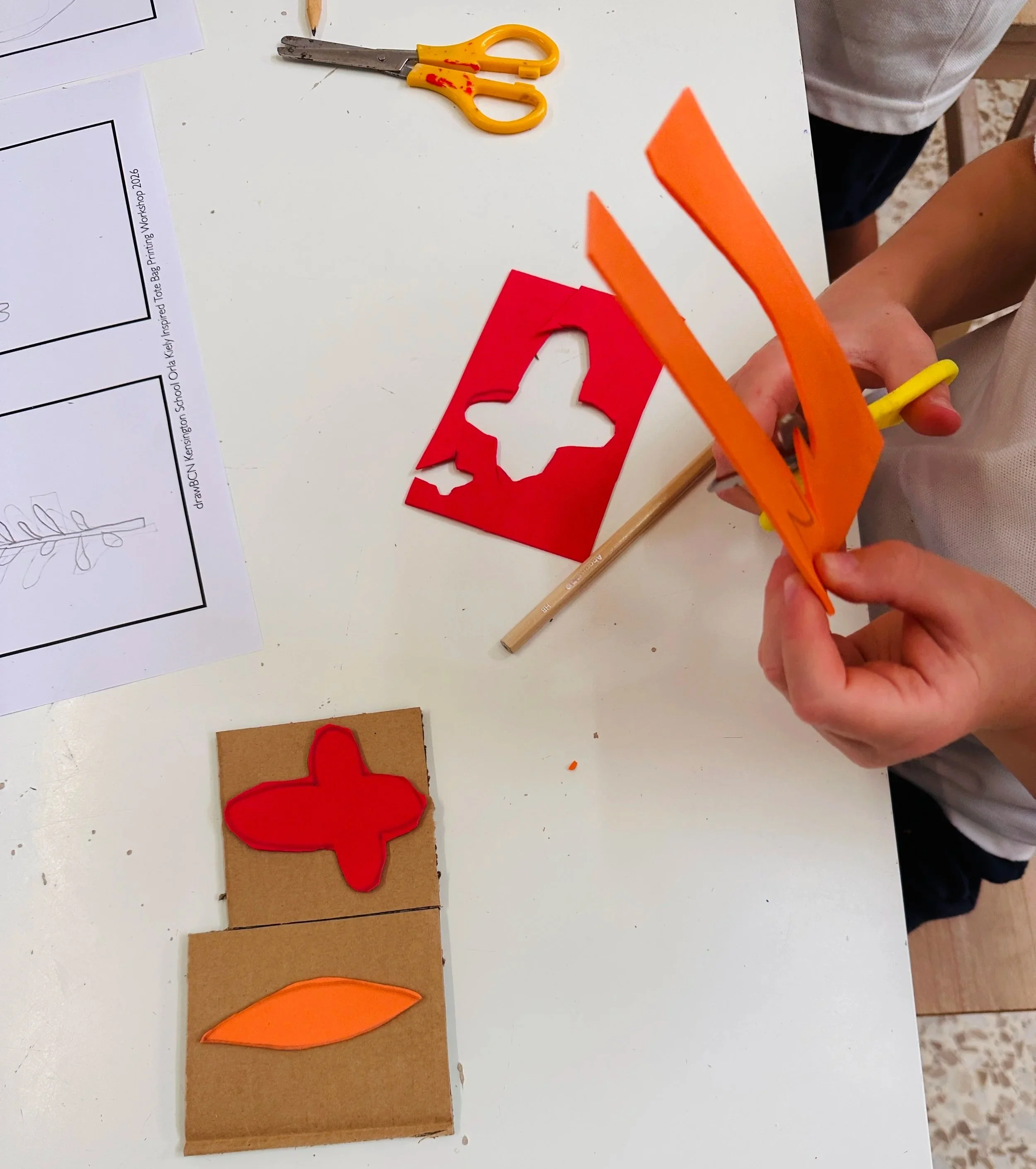 Primary School Workshops