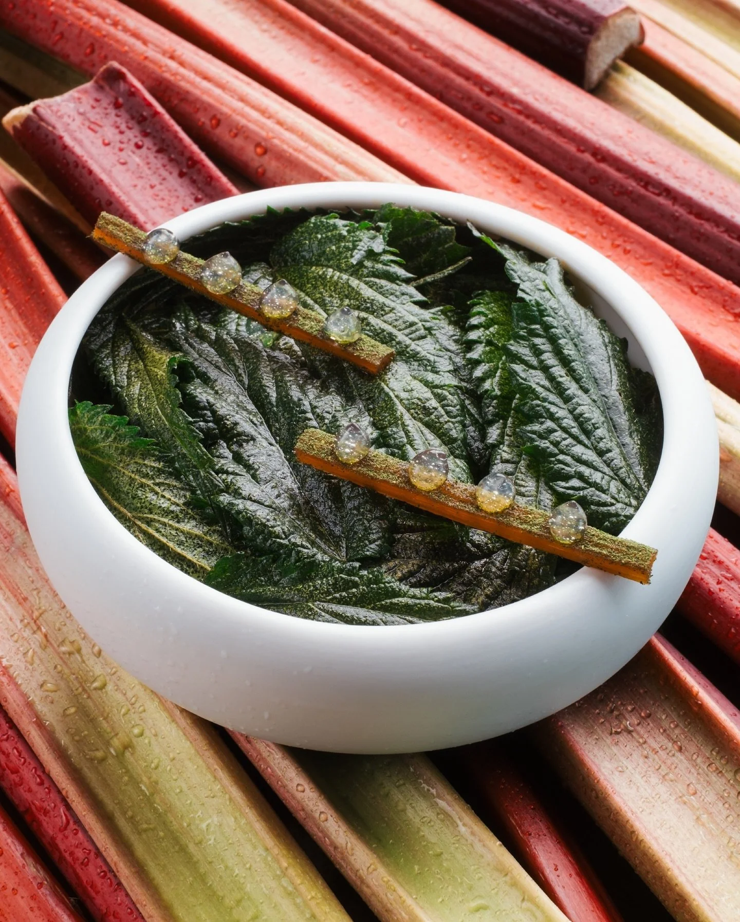 eck drinks shapr lightning.jpg