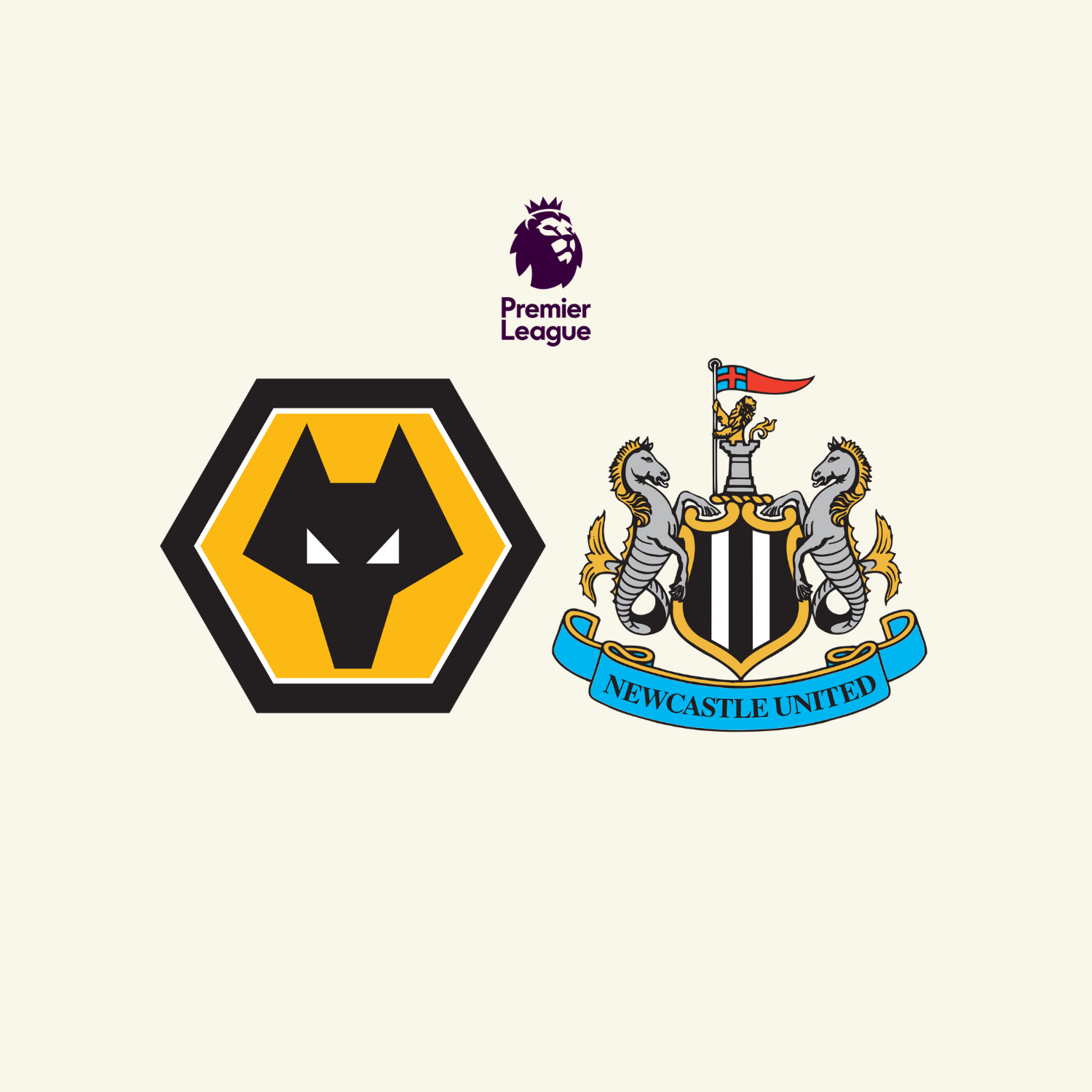 Wolves v Newcastle - English Premier League