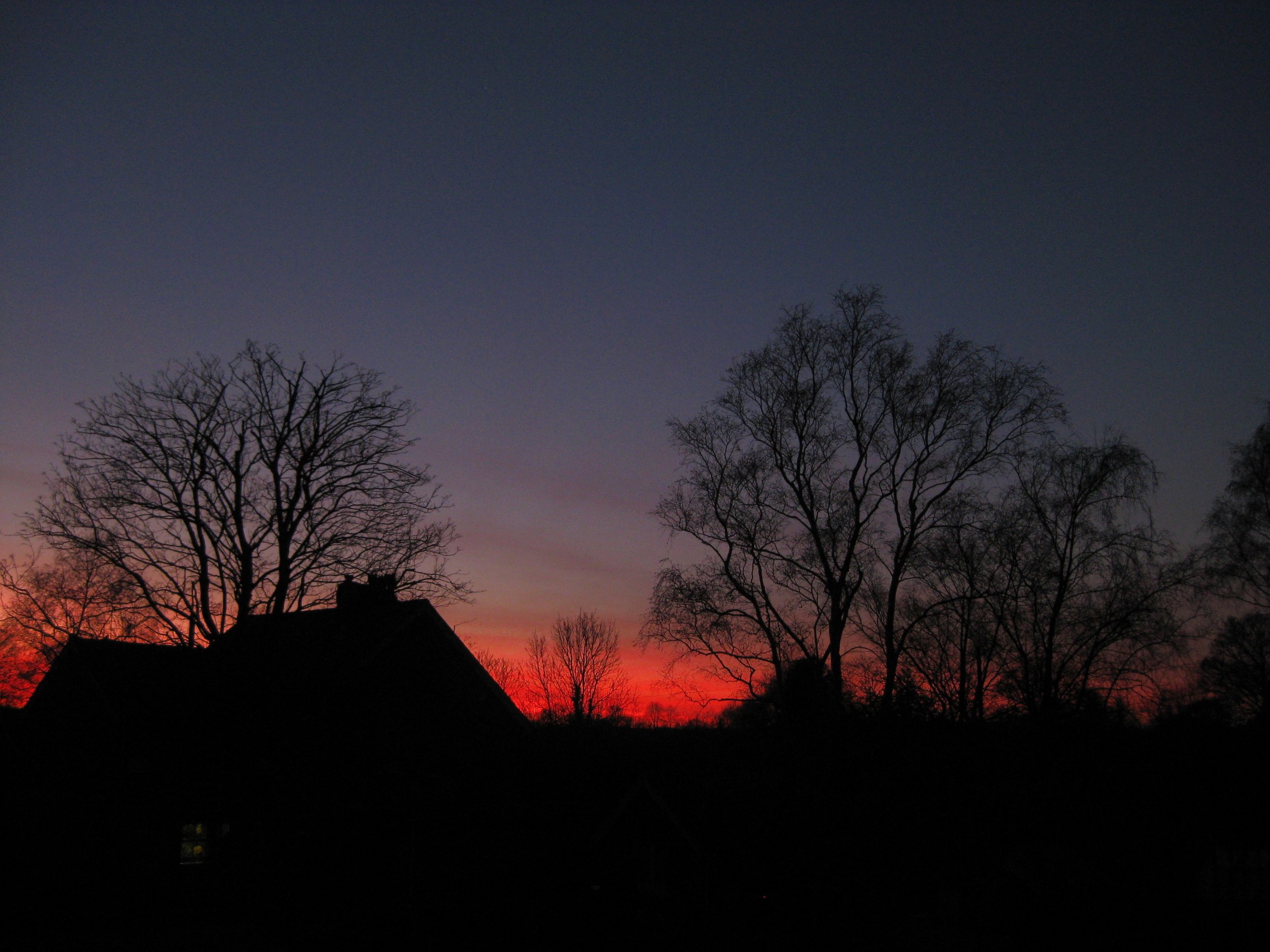 2012-01-12+002.jpeg