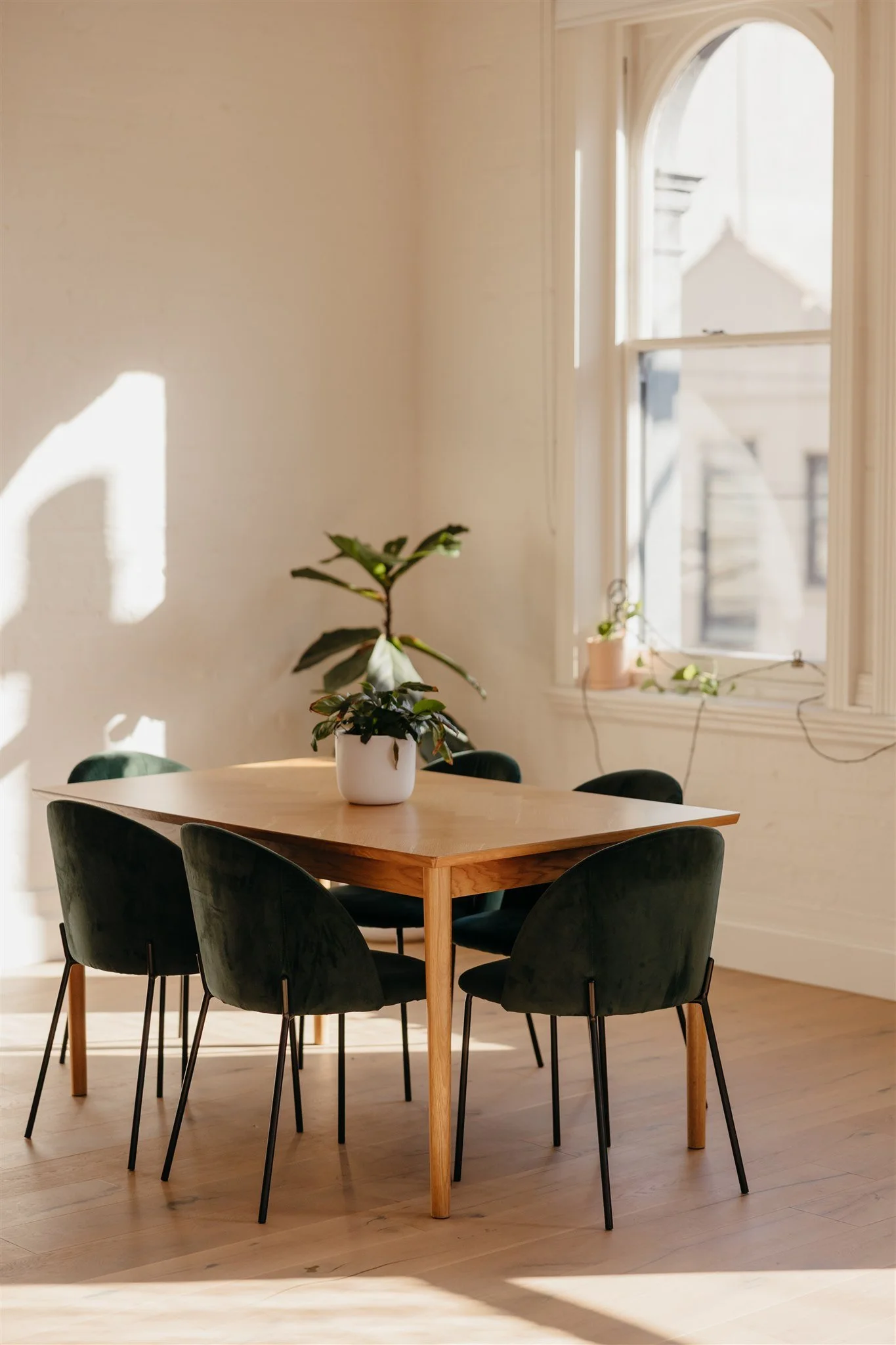 A wooden dining table with five dark green chairs around it, and potted plants on the table and windowsill, in a room lit by natural sunlight.
