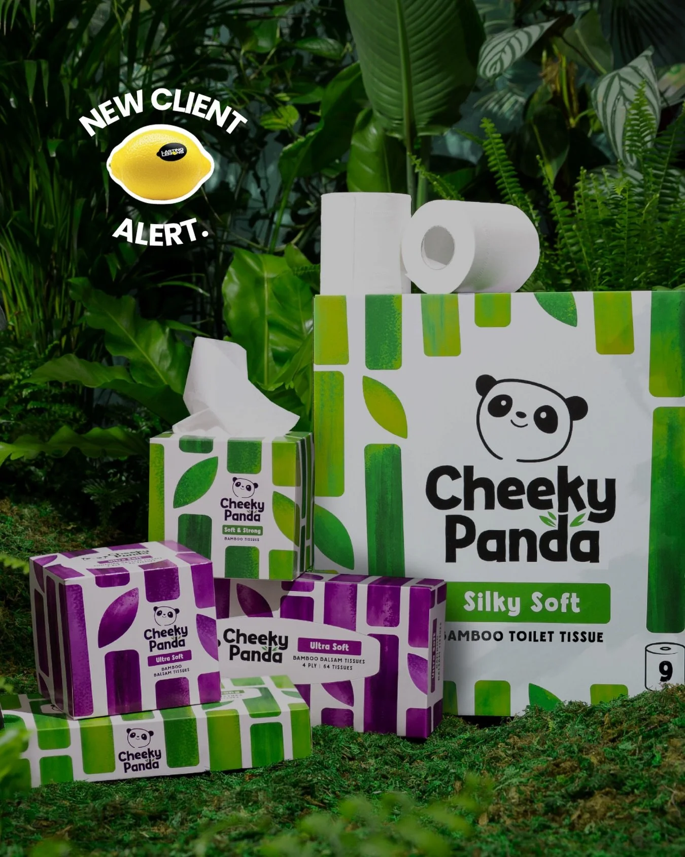 The Lemons team just grew by one, and they&rsquo;re a lot furrier than usual.. Say hello to our new friends over at @cheekypandahq 🐼 We are SO excited to start working together and create lots of fun content with Colin the cheeky panda🤩

#cheekypan