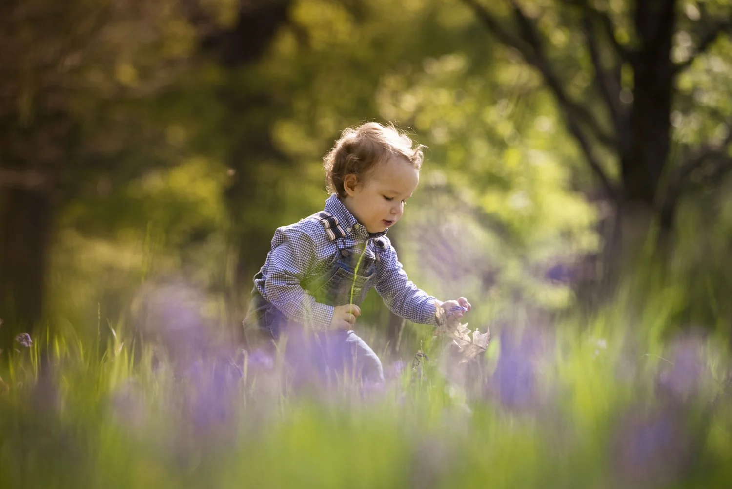 candid-boy-bluebell-field-vrginiawater.jpg
