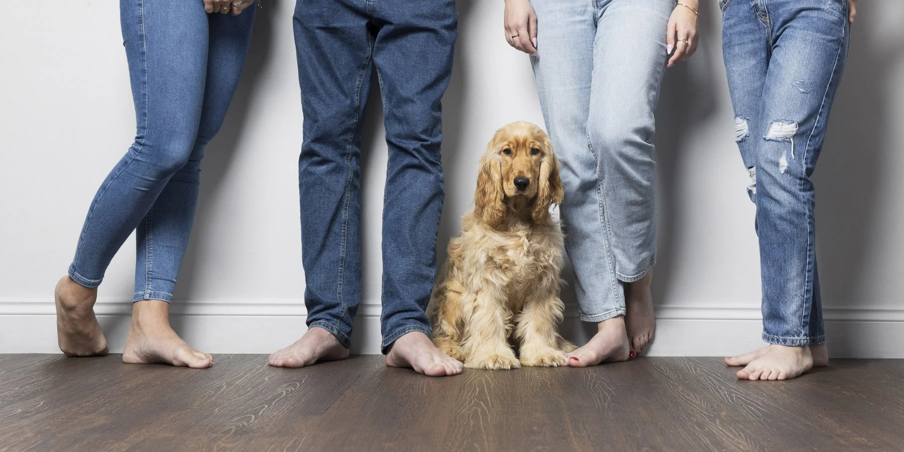 Studio portrait of a dog showing only it's owners' legs in casual jeans, photographed by Artis Studios