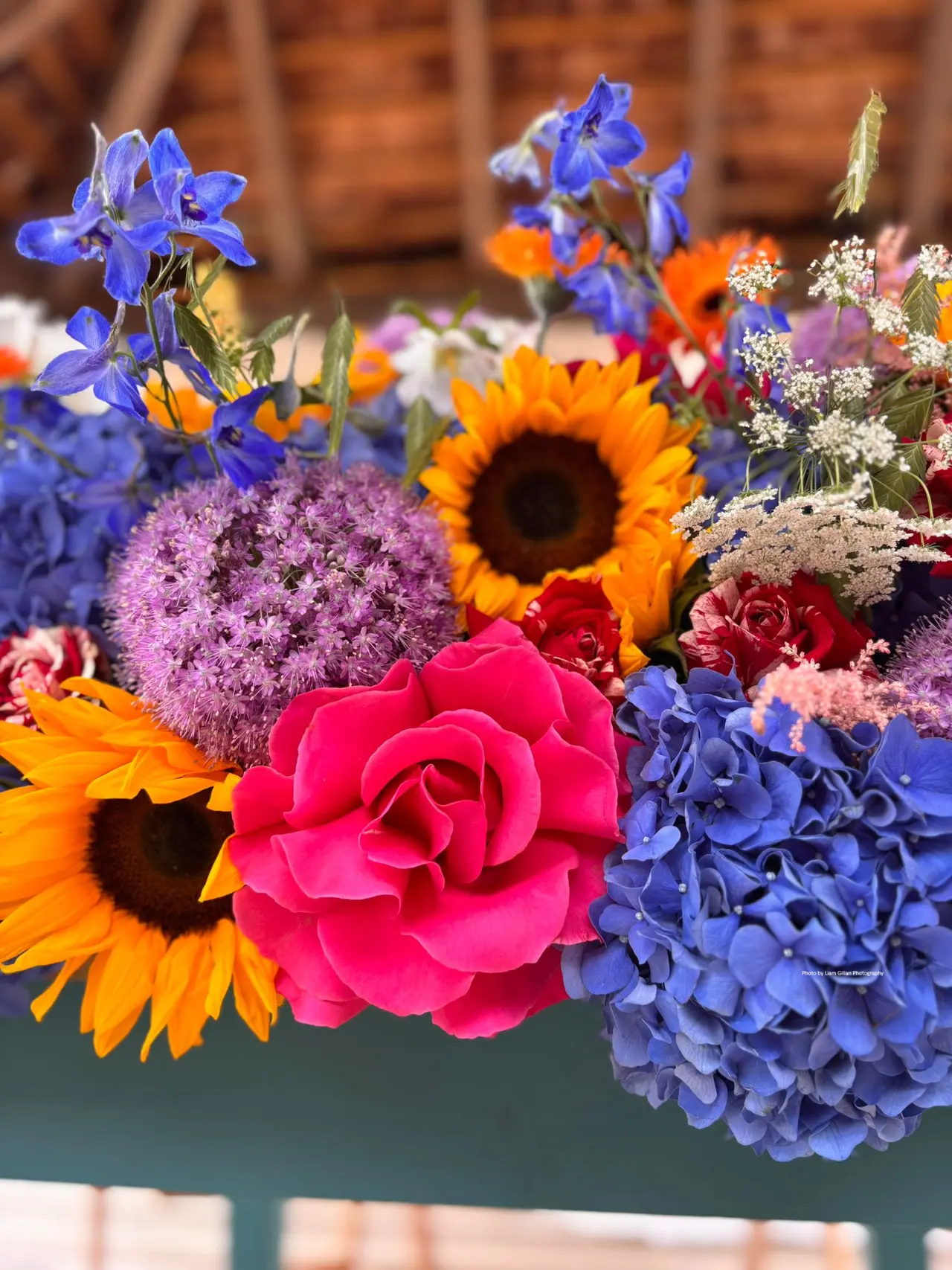 809291 with credit.png