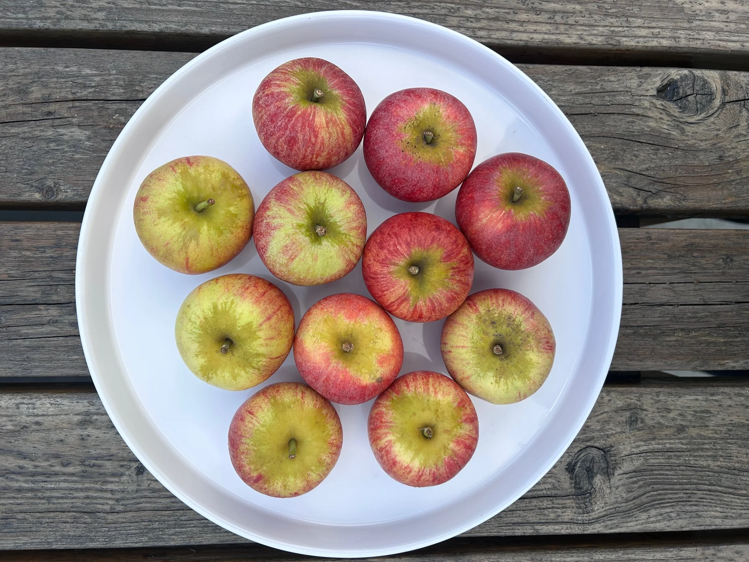 Finding comfort and flavour in winter