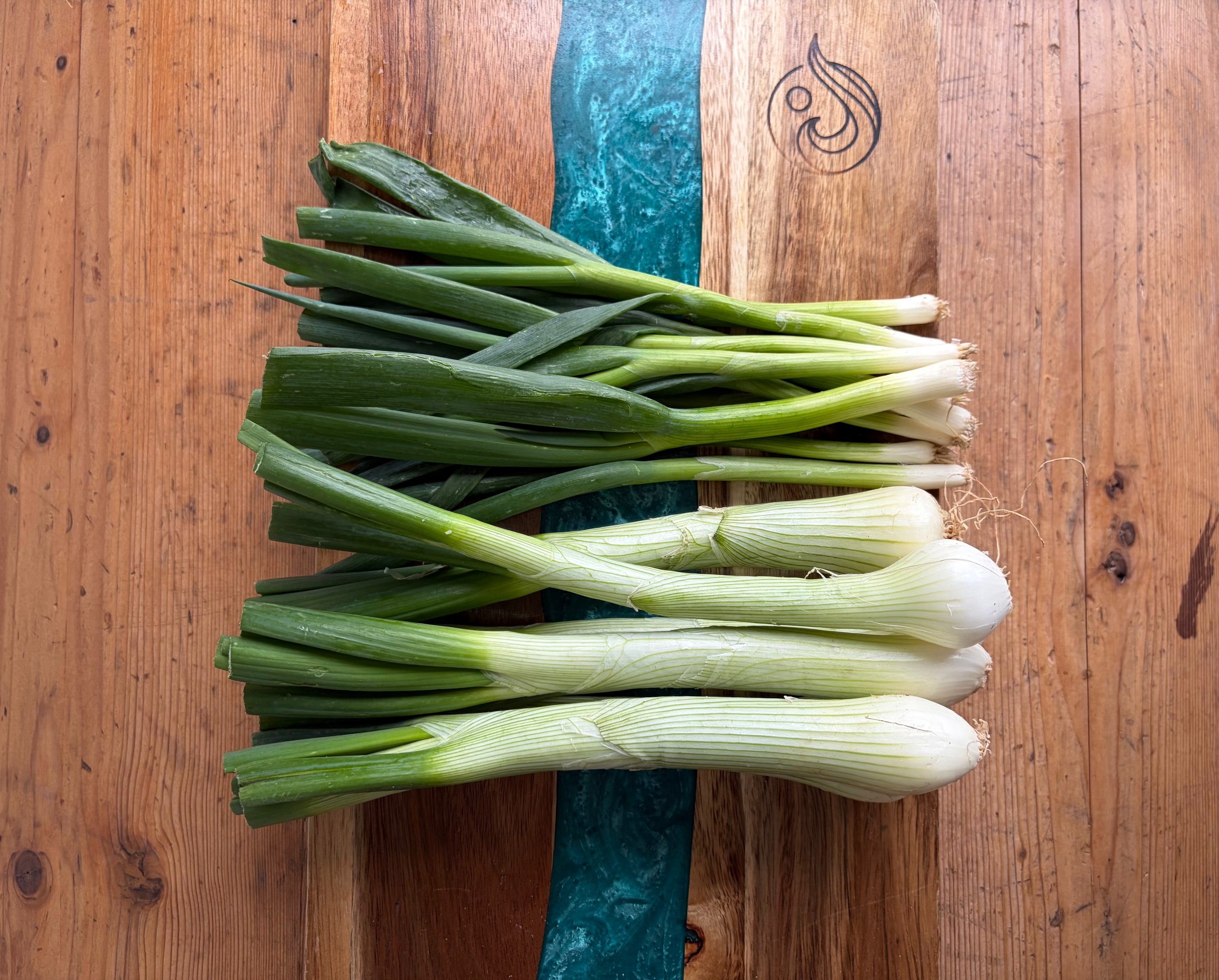 Spring Onions: Early Spring’s Clever Hero