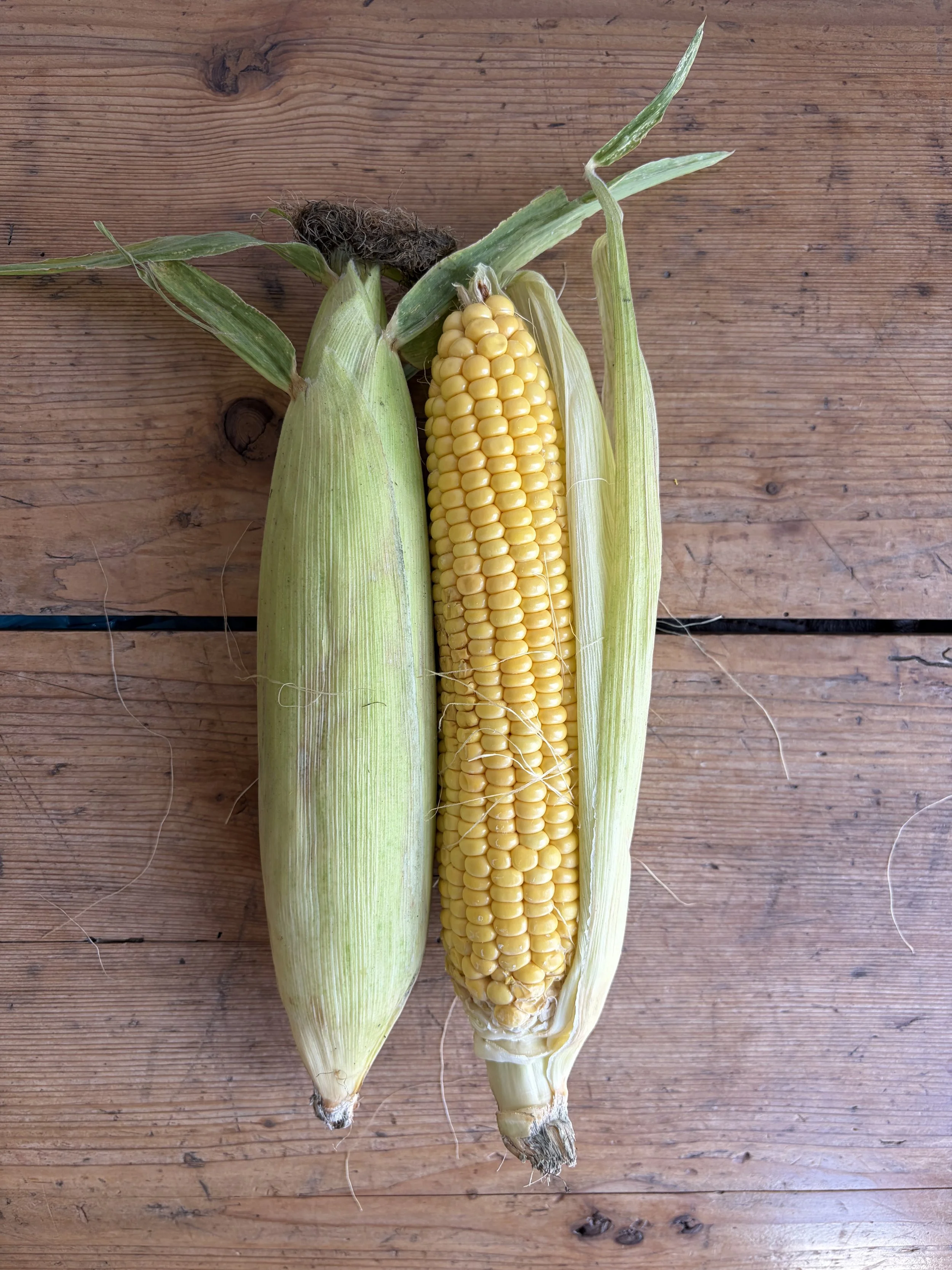 Sweetcorn in September: Simple, Seasonal and Delicious