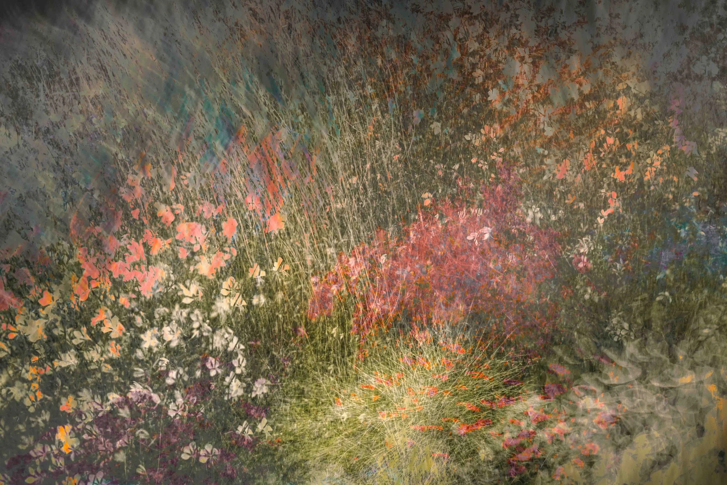AutumnMeadow.jpg