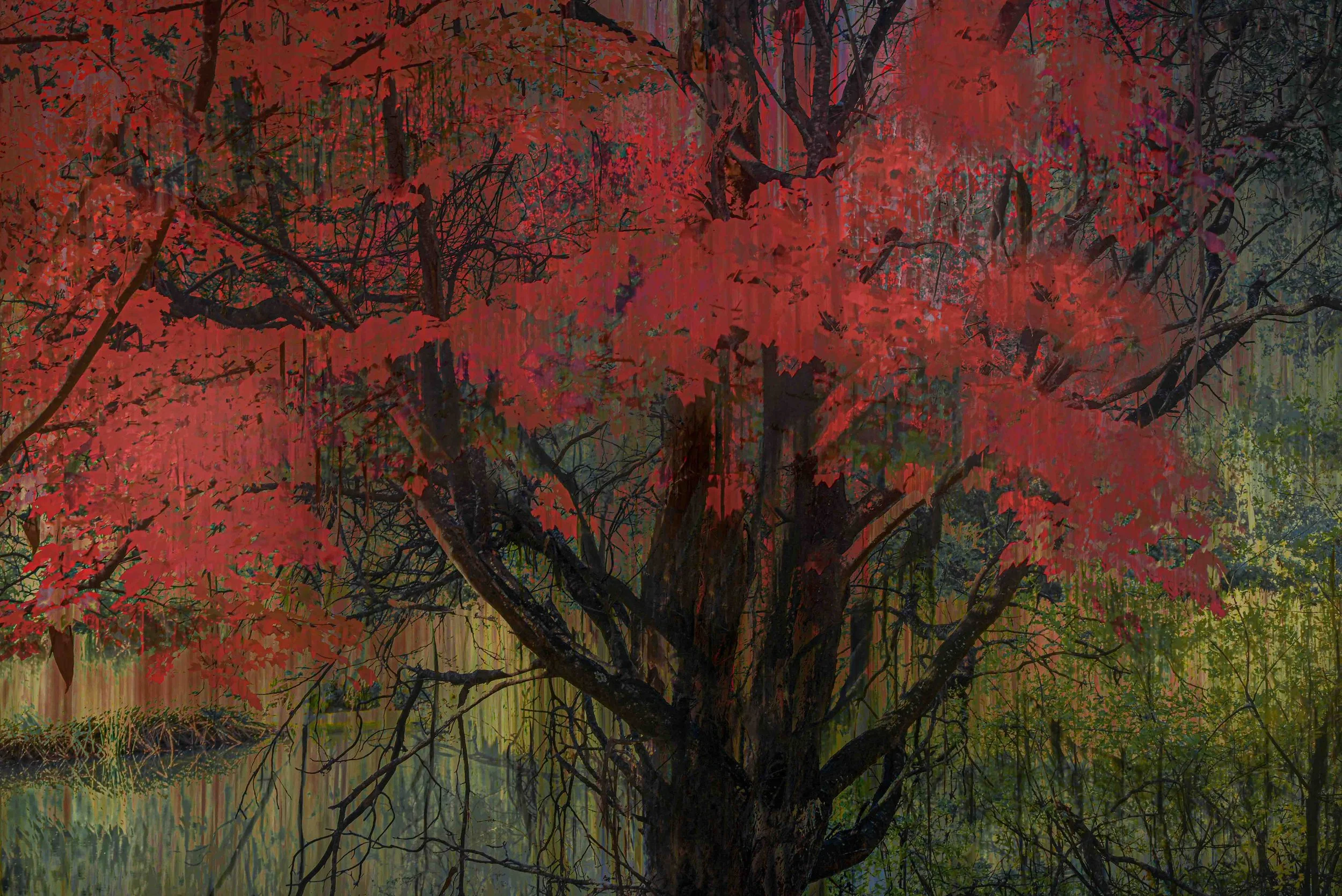 AQuietPlaceToPaint.jpg