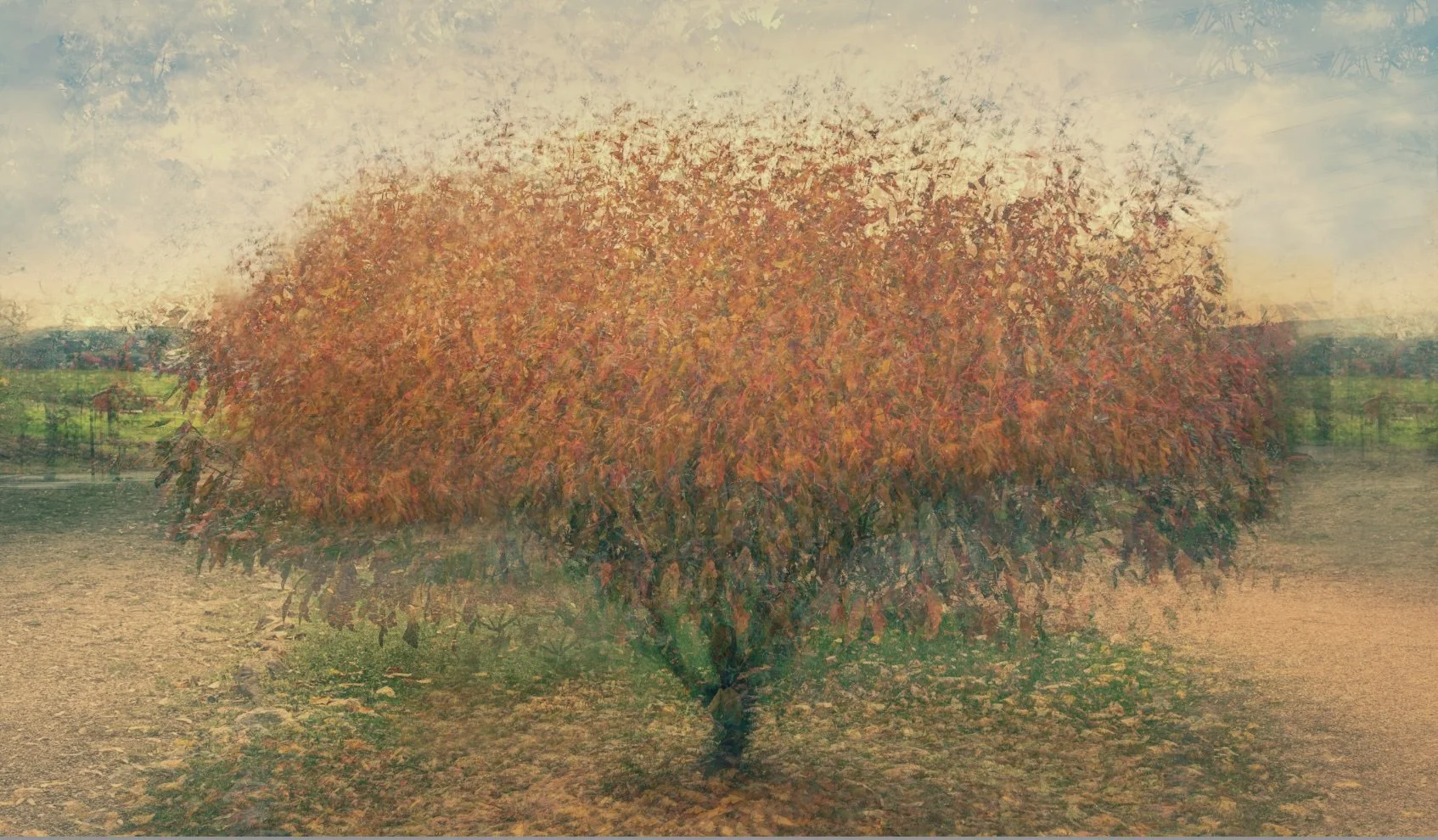 AroundTheTree.jpg