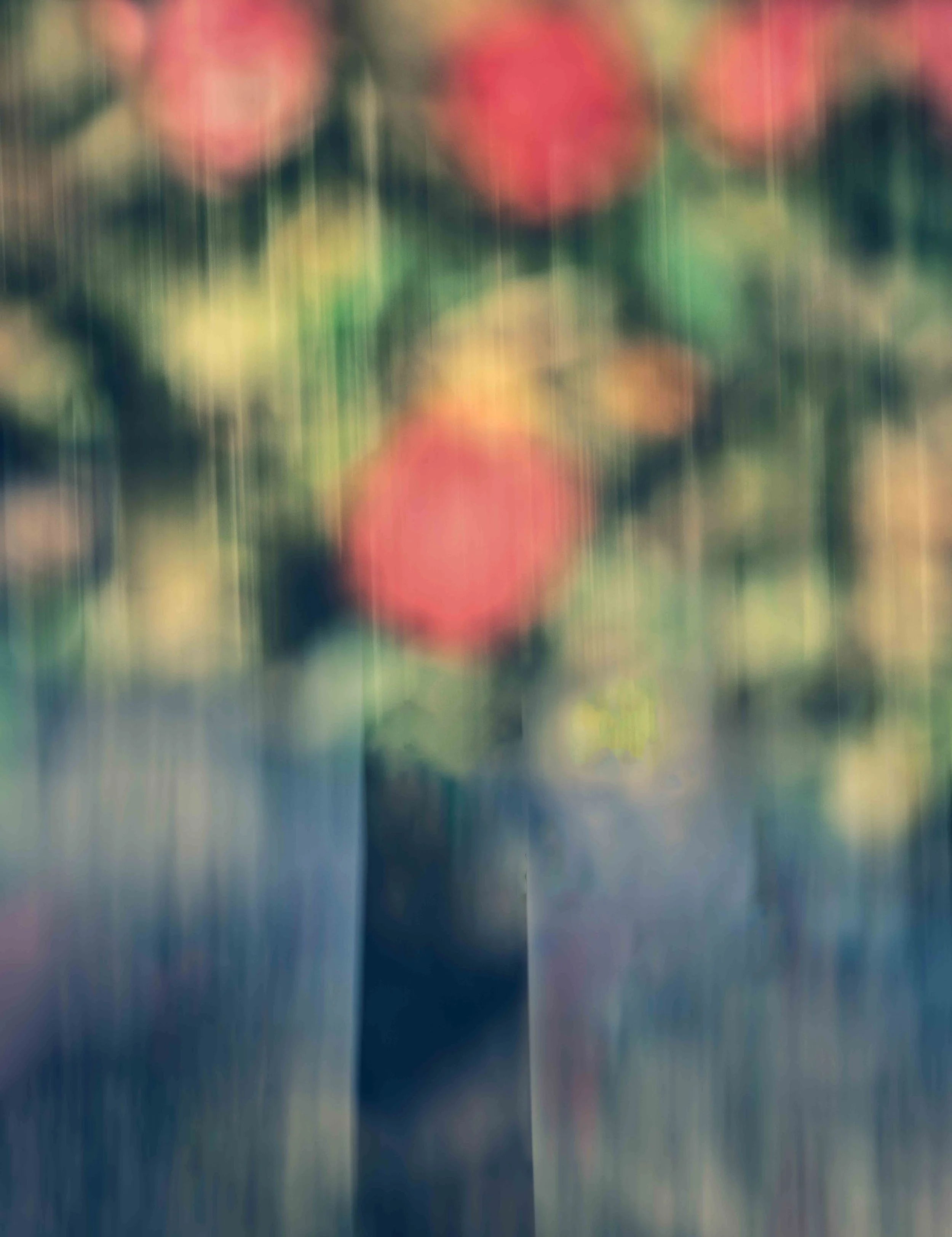 Tree.jpg