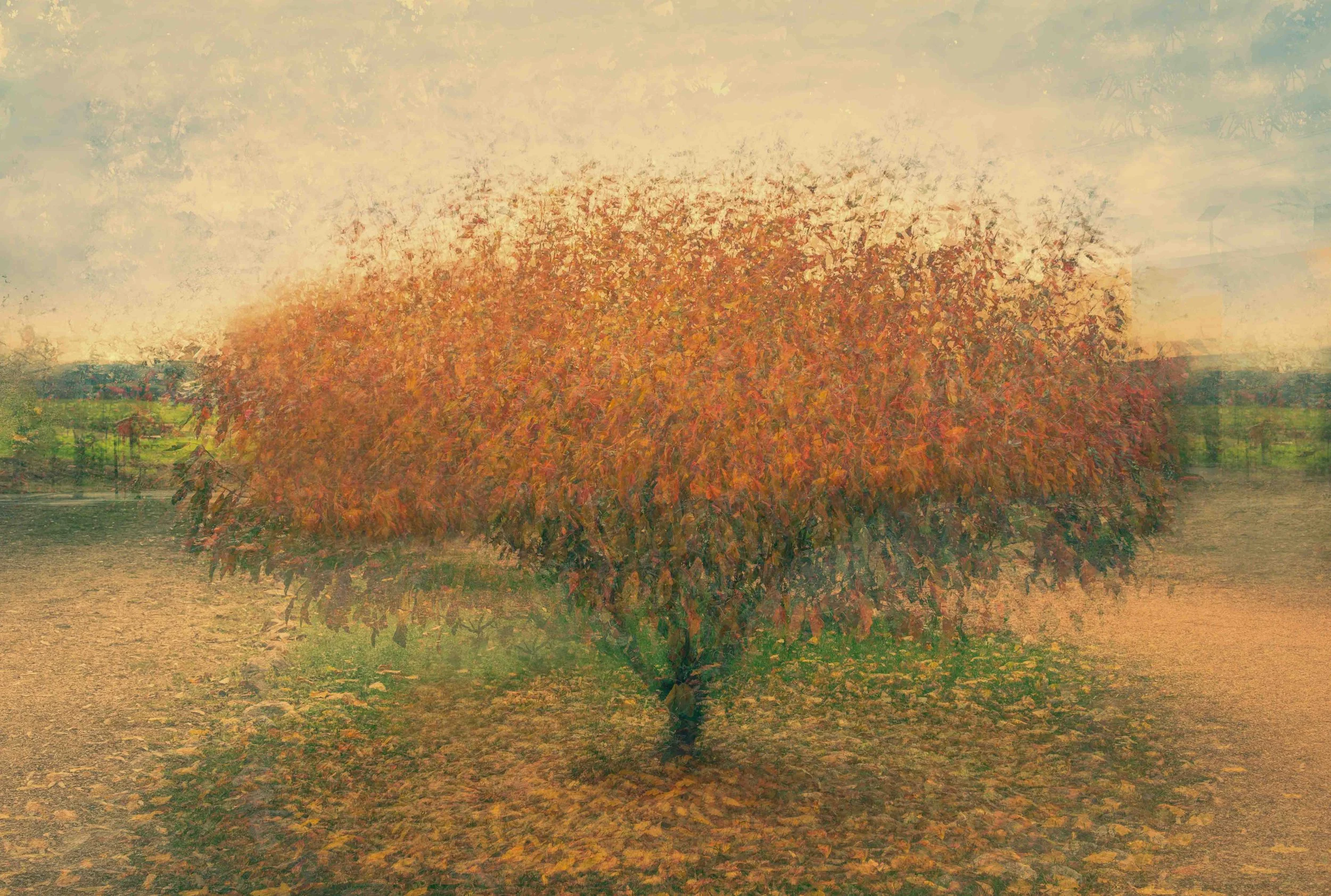 Around the Tree.jpg