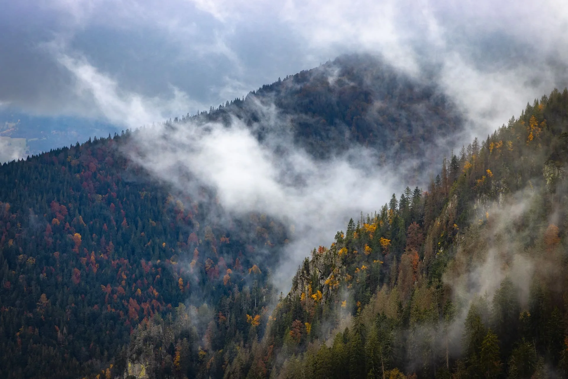 Quand planifier vos shootings en Alsace ?