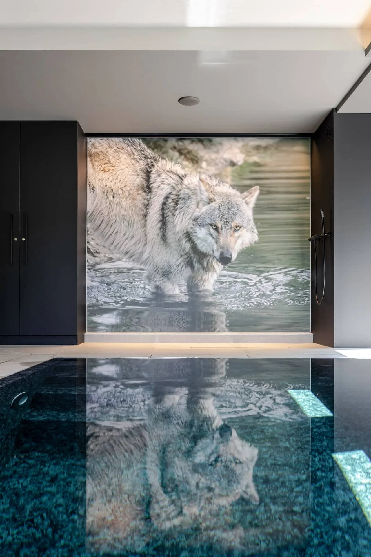 maison de vacances-piscine-moderne-alsace-vosges