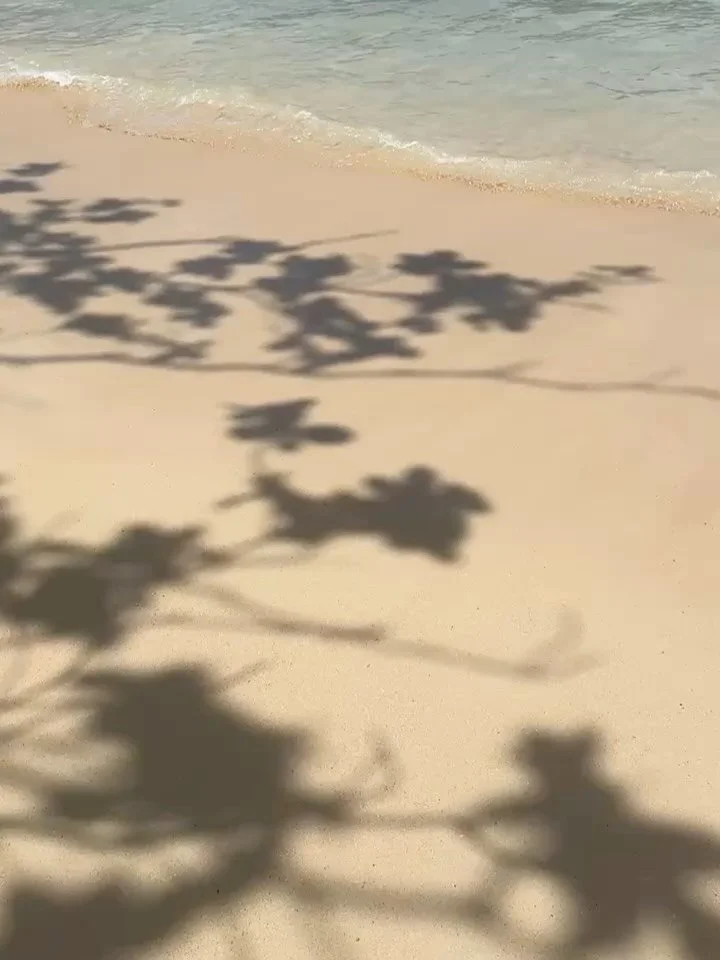 A collection of shadows.