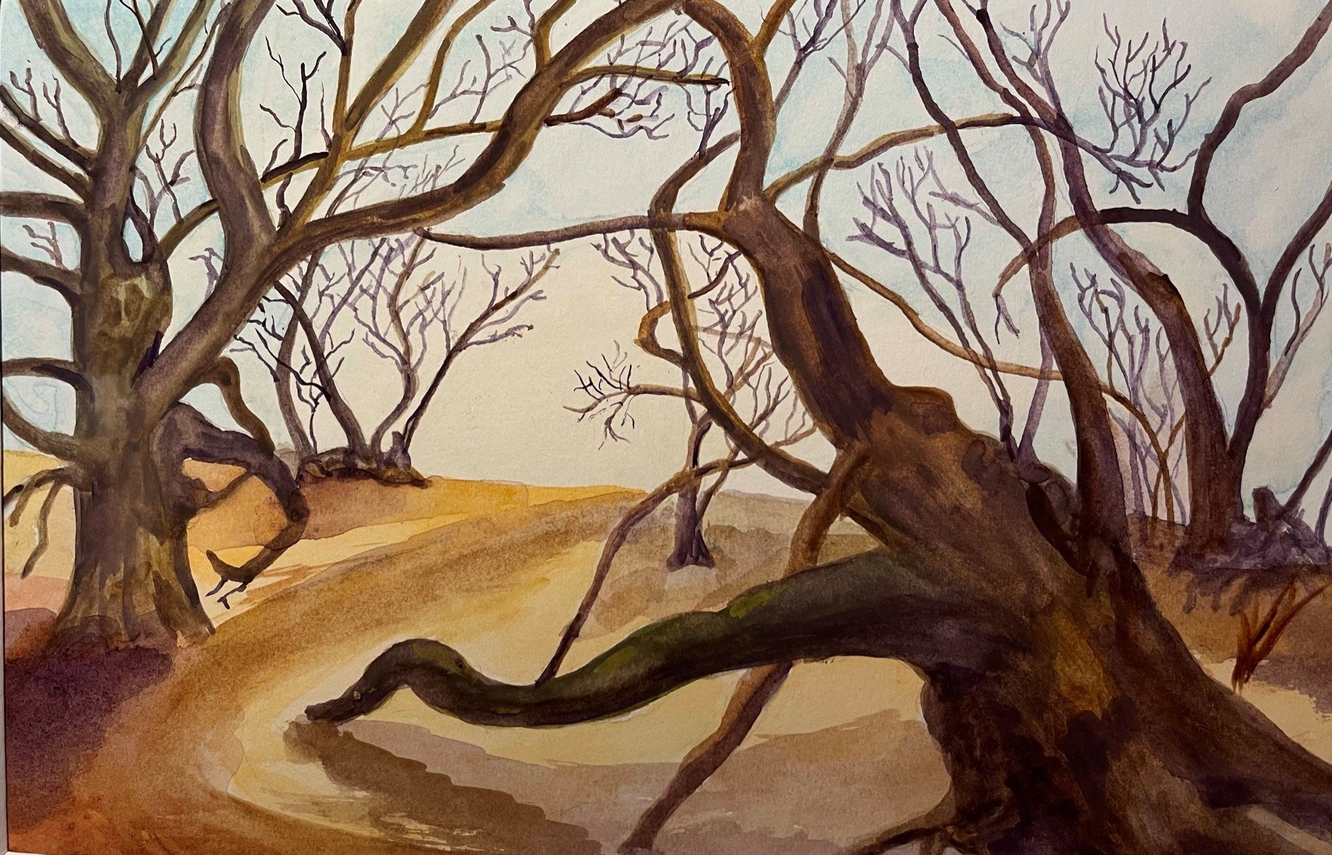 What do you see? How do you feel?