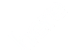 6-here.png