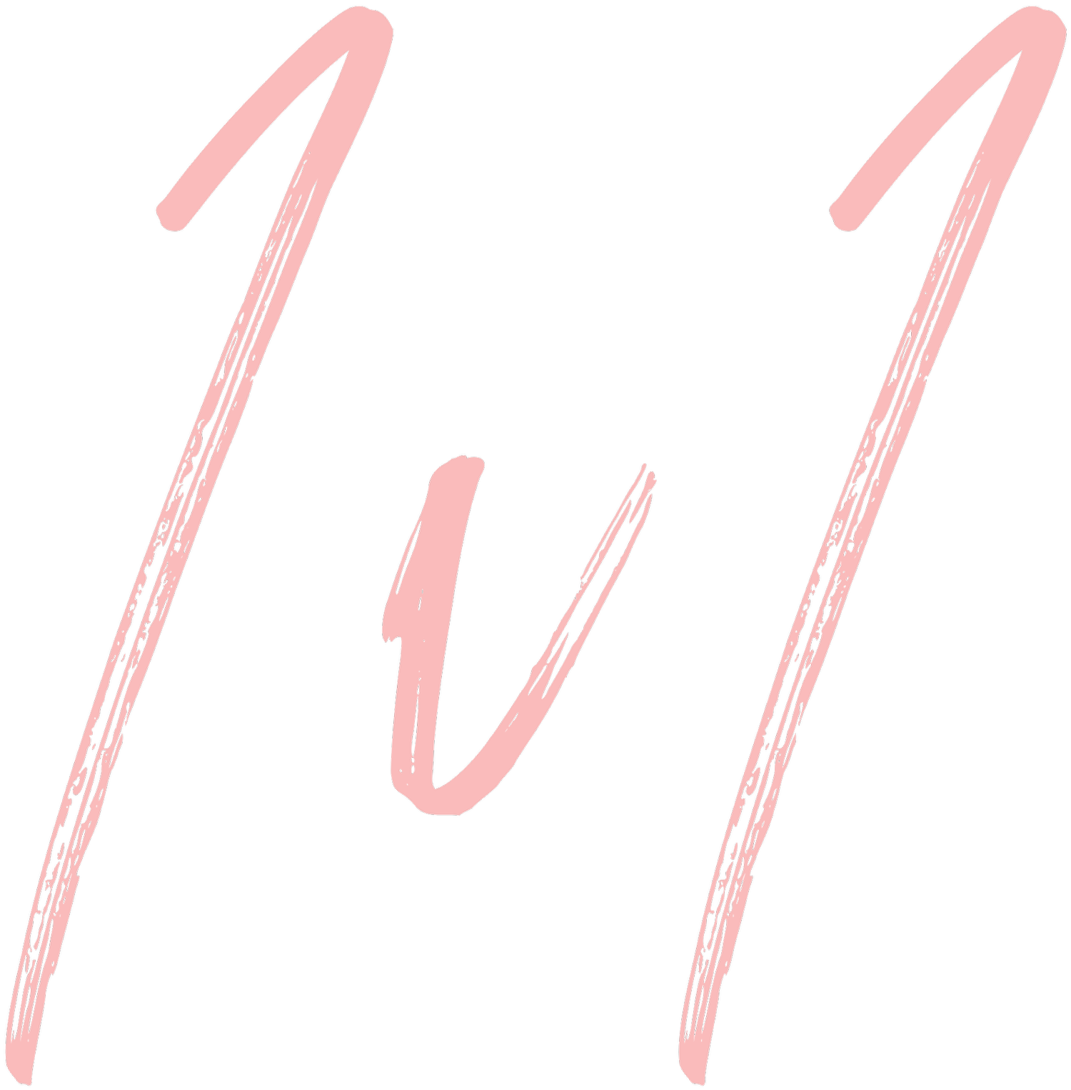 The 1v1 Project