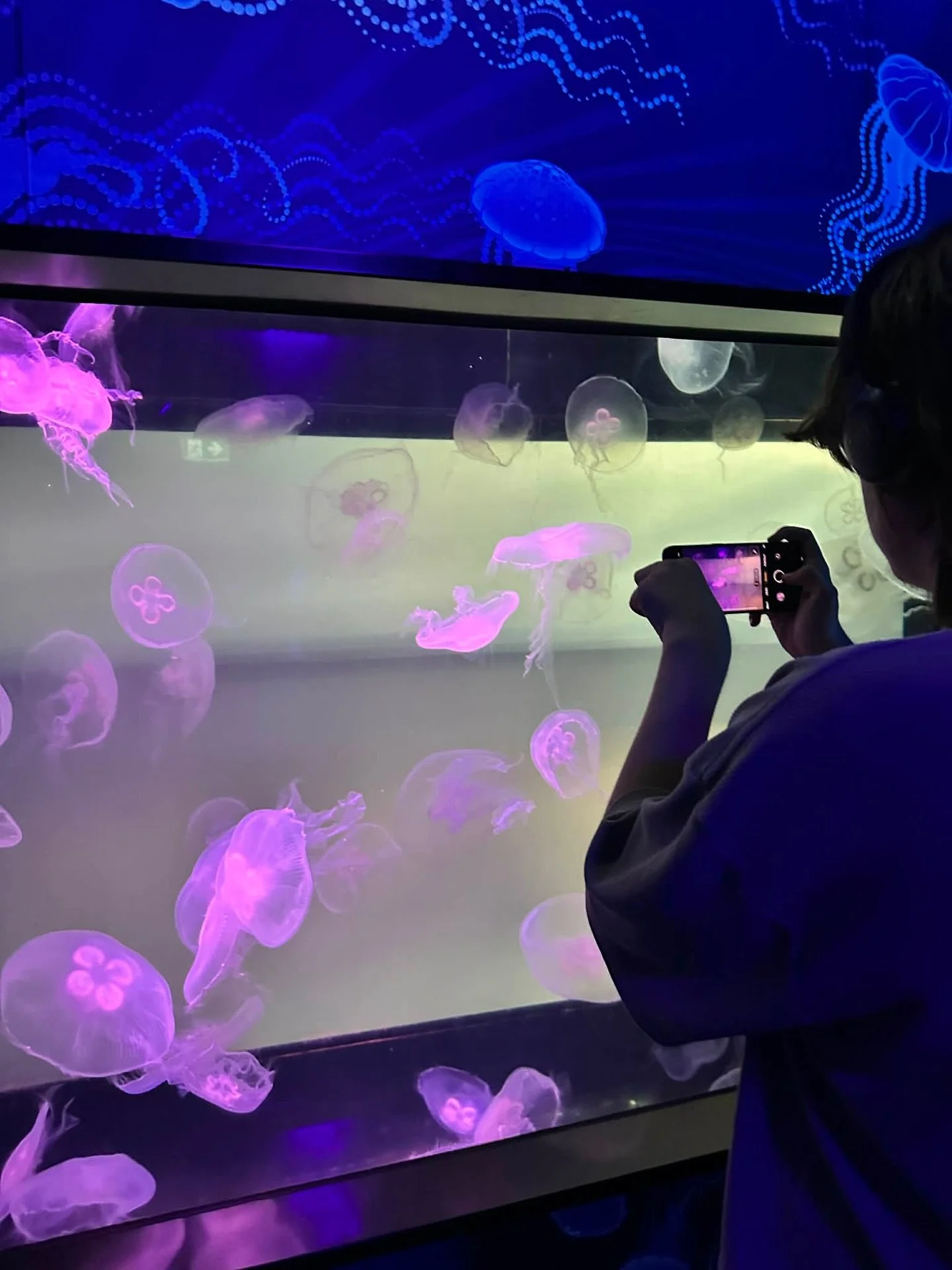 How fun is this! 🐟🐡🦖🦕
Support Worker Nick and Jordan had a big day out in Melbourne yesterday. The boys started their day at @sealifemelbourneaquarium and finished it at @melbournemuseum 

If you&rsquo;re looking for support these school holidays