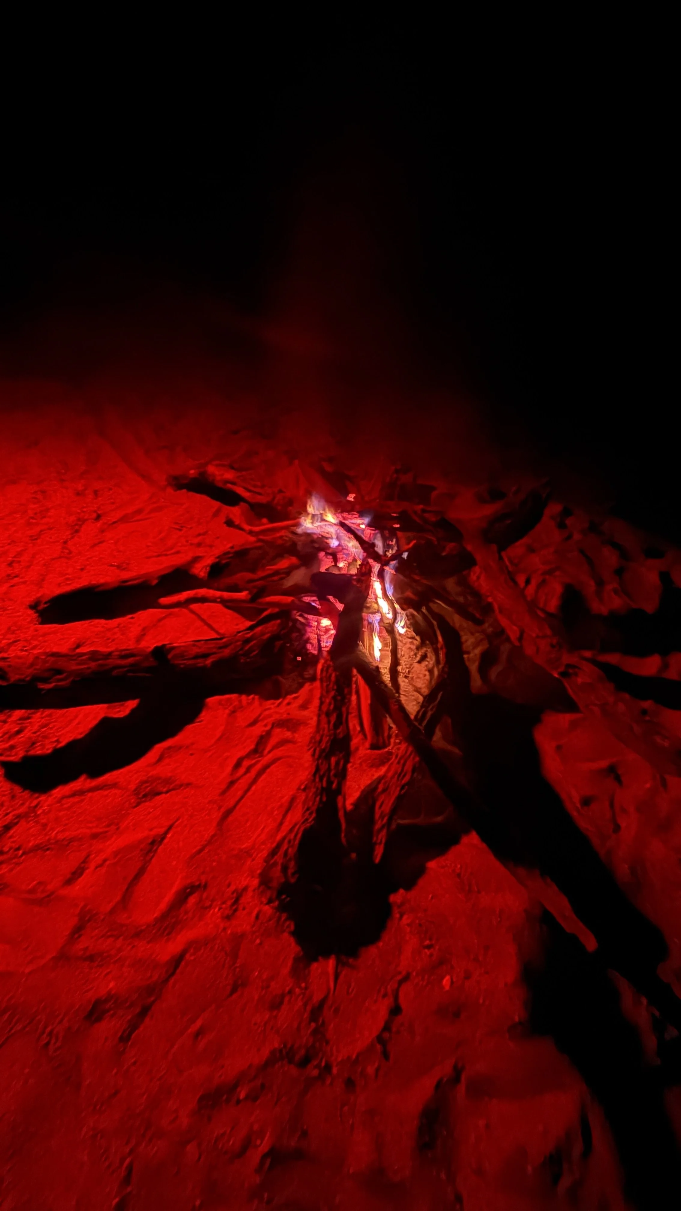 Why Tired People Need a Campfire More Than Another Weekend Indoors