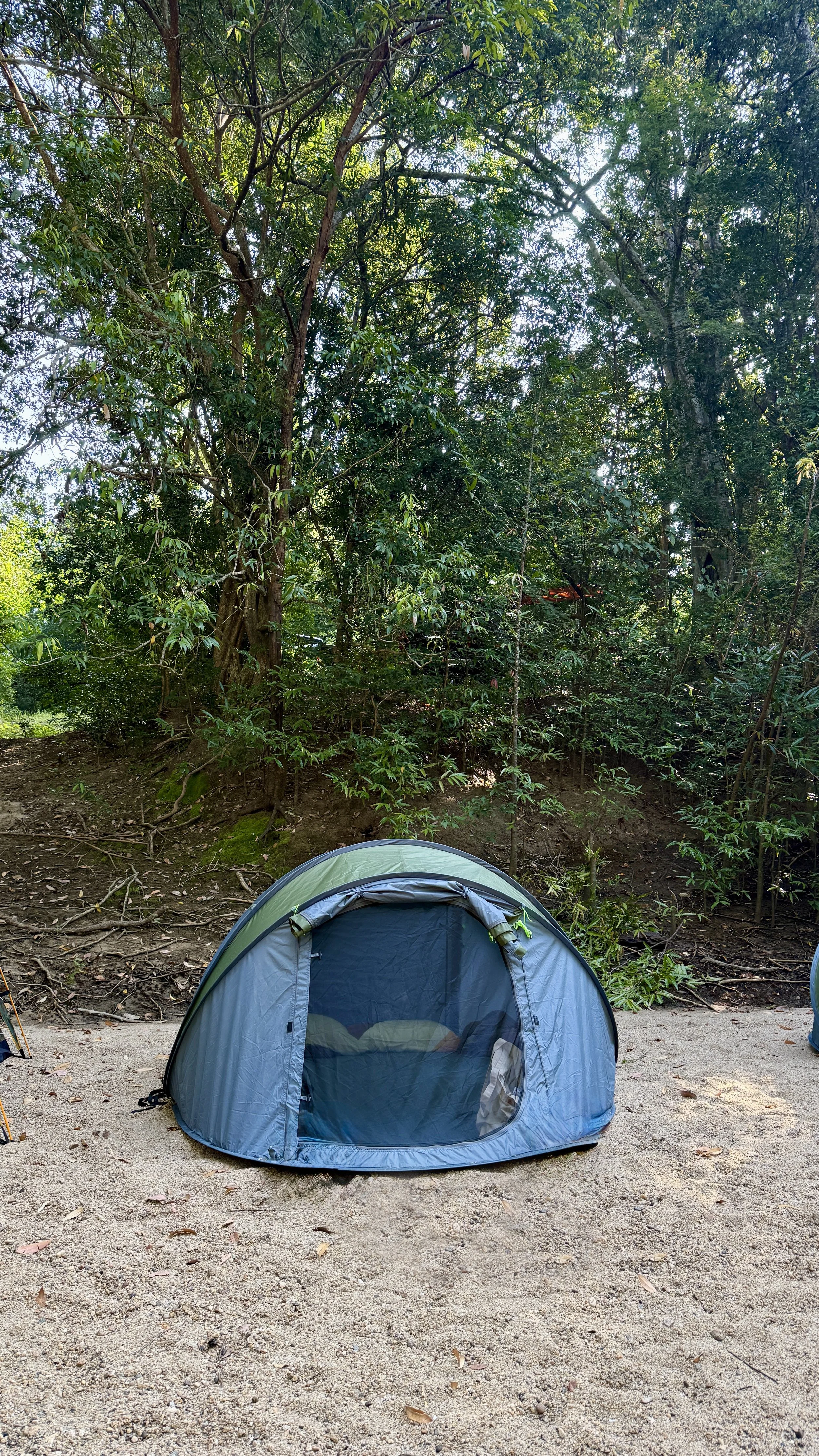 Is Camping in Sri Lanka Safe? A Calm, Honest Guide for Beginners