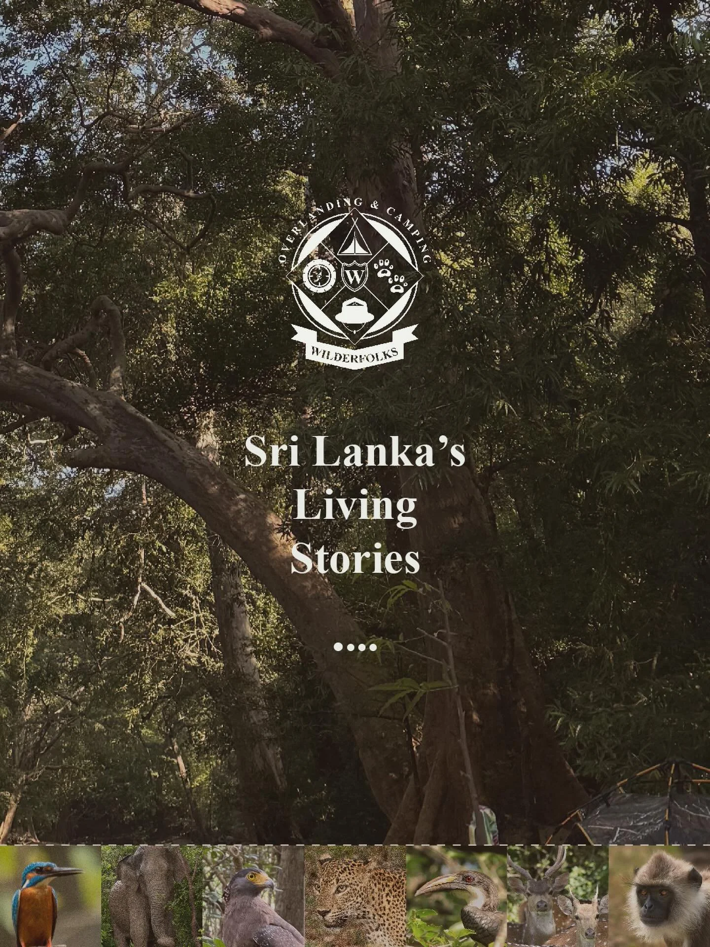 On 3rd March 2026, the world paused to mark World Wildlife Day &mdash; a gentle reminder of the value of every living being that shares this island we call Sri Lanka.

But one day did not feel like enough.

So from today until World Wildlife Day 2027