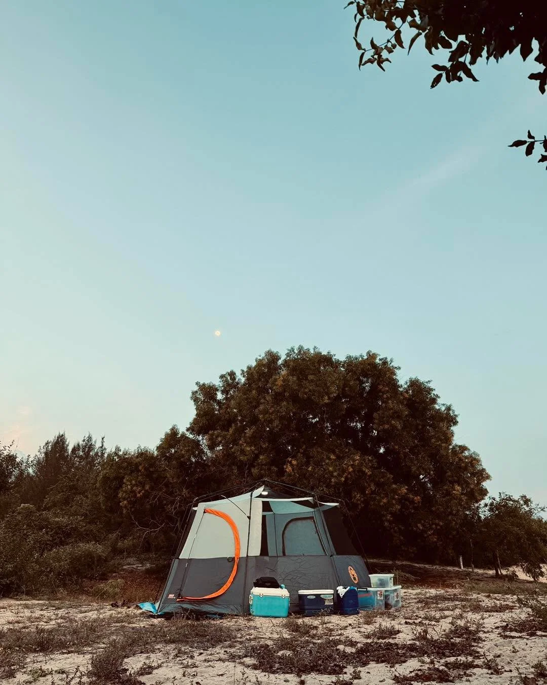 Some mornings settle in gently&mdash;a light breeze, not so distant hum of bees, and remnants of last night&rsquo;s campfire in the air. It&rsquo;s a kind of morning that does not ask for you much.

No rush, no reason. 
Time for some brew ☕️ 

#Wilde