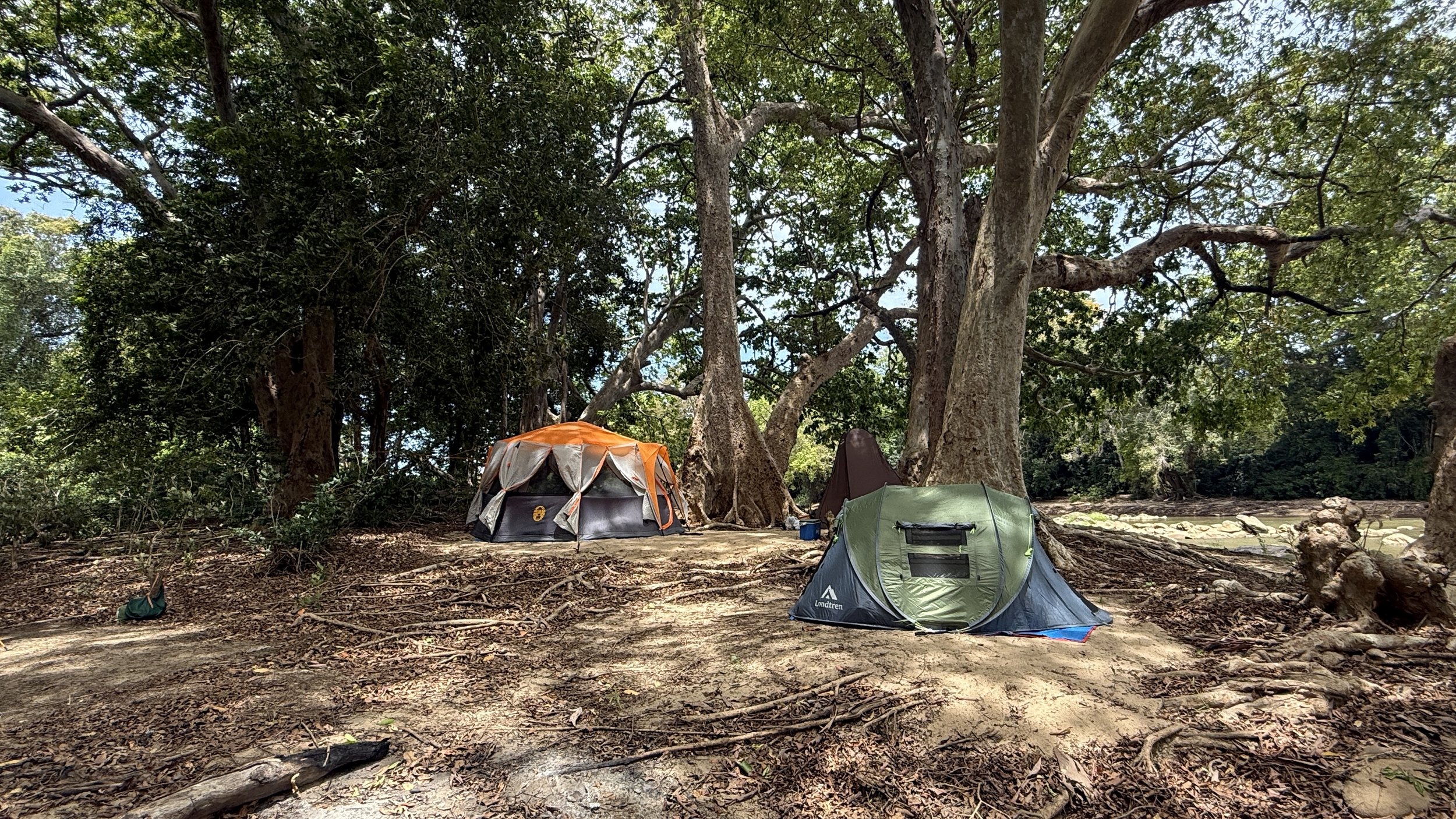 How to Read a Campsite Like Someone Who Has Done This Before
