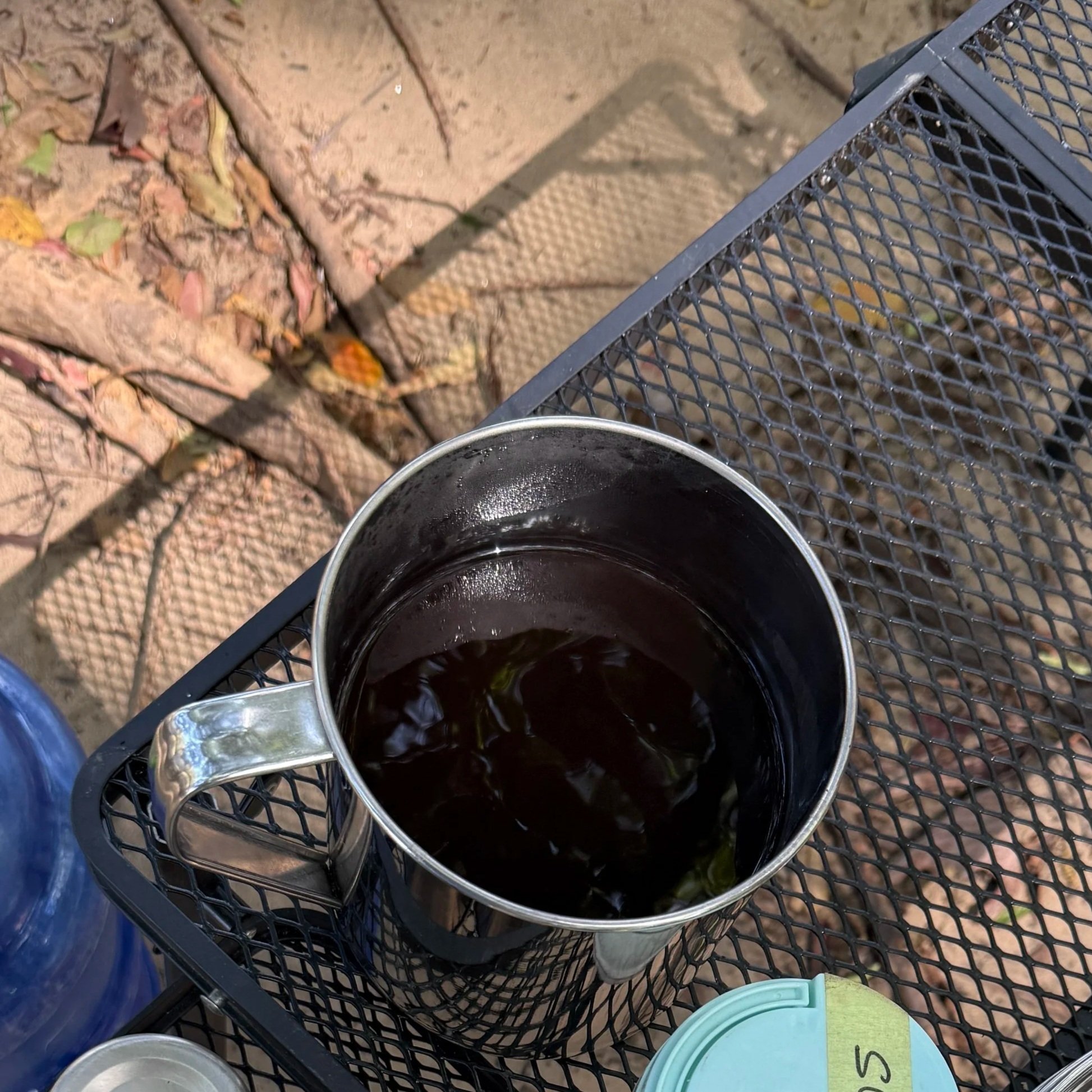 How to Wake Up Well in the Wild: Dawn Routines, Tea, Light, and the Quiet Intelligence of Morning