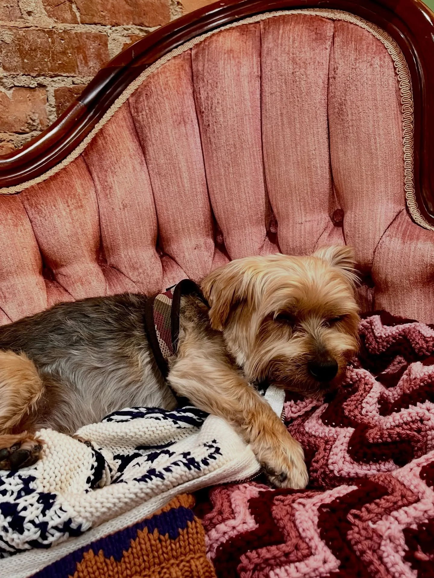 Glimpses from an 18-hour day getting this little store ready for you. I think you&rsquo;re really going to love it 💘