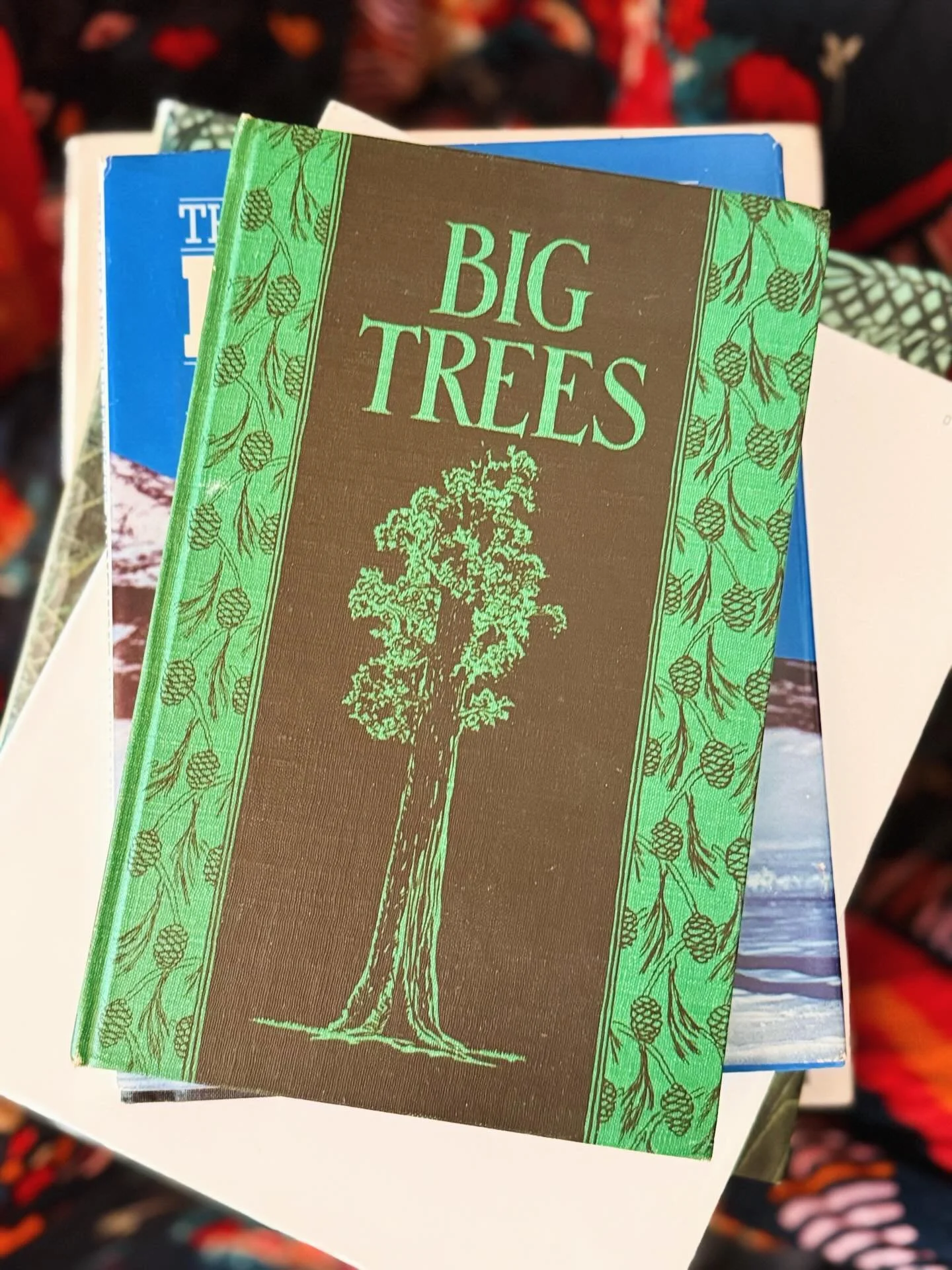 Calling all book lovers! Tomorrow we&rsquo;re hosting the debut pop up for Bad Habit Books 📚 

Bad Habit Books specializes in an eclectic selection of vintage books, perfect for enjoying over and over. You&rsquo;ll find fiction, photography and pain