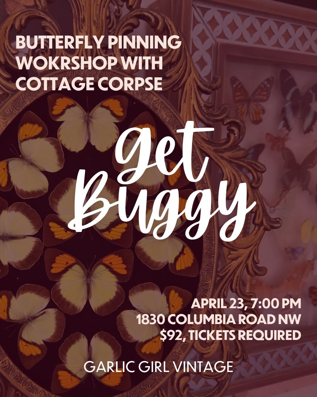 Have you always admired the framed insects at GGV and been curious about how it all works? Come behind the convex glass with Ren of&nbsp;@cottagecorpse.shop to learn everything you ever wanted to know about insects, then learn how to prepare and pres
