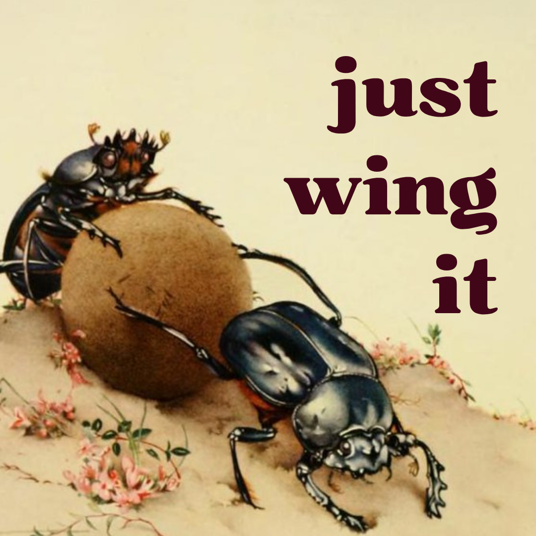Just Wing It: Beetle Pinning Workshop with Cottage Corpse