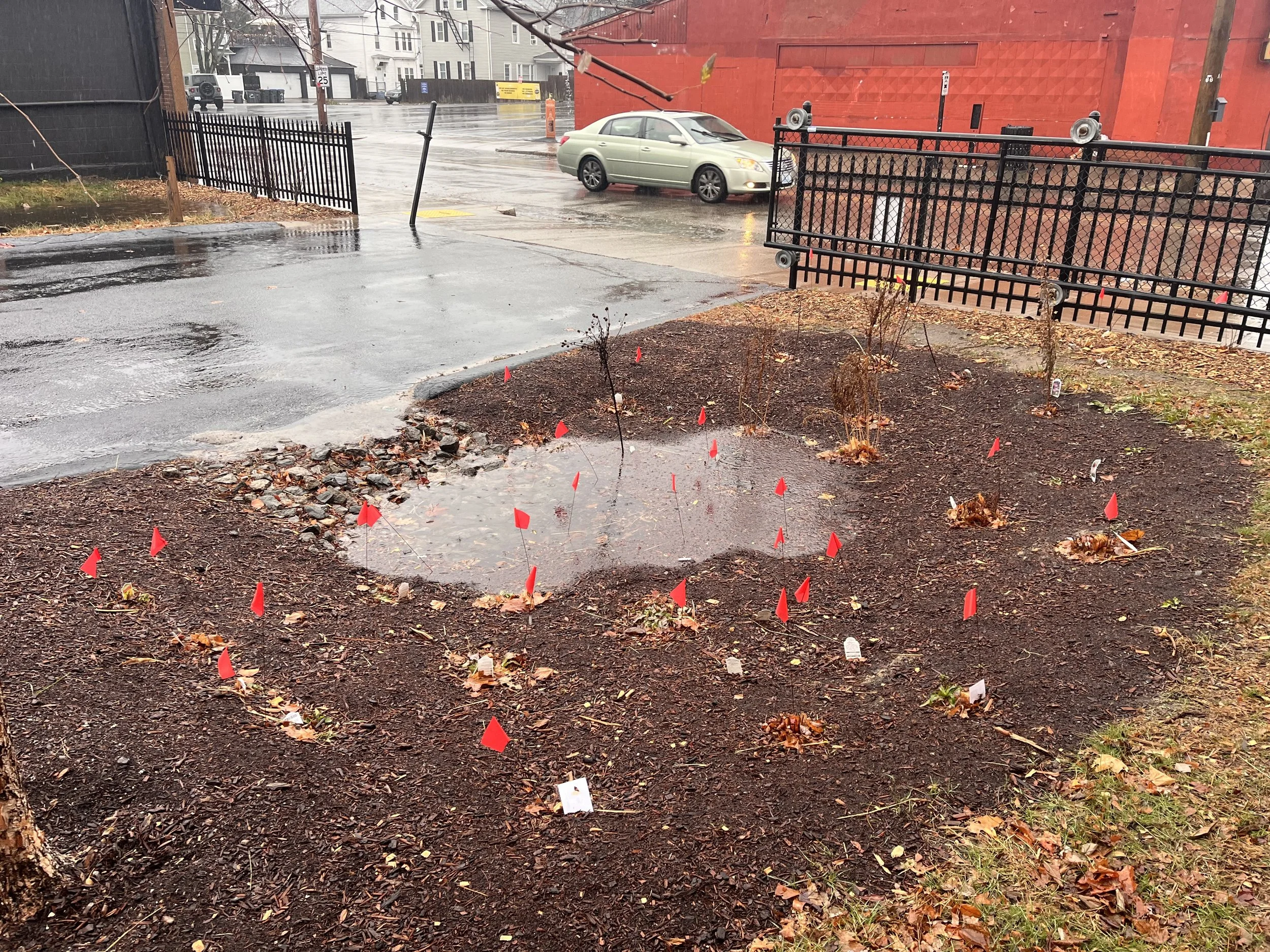 OpenDoors problem solving.jpeg