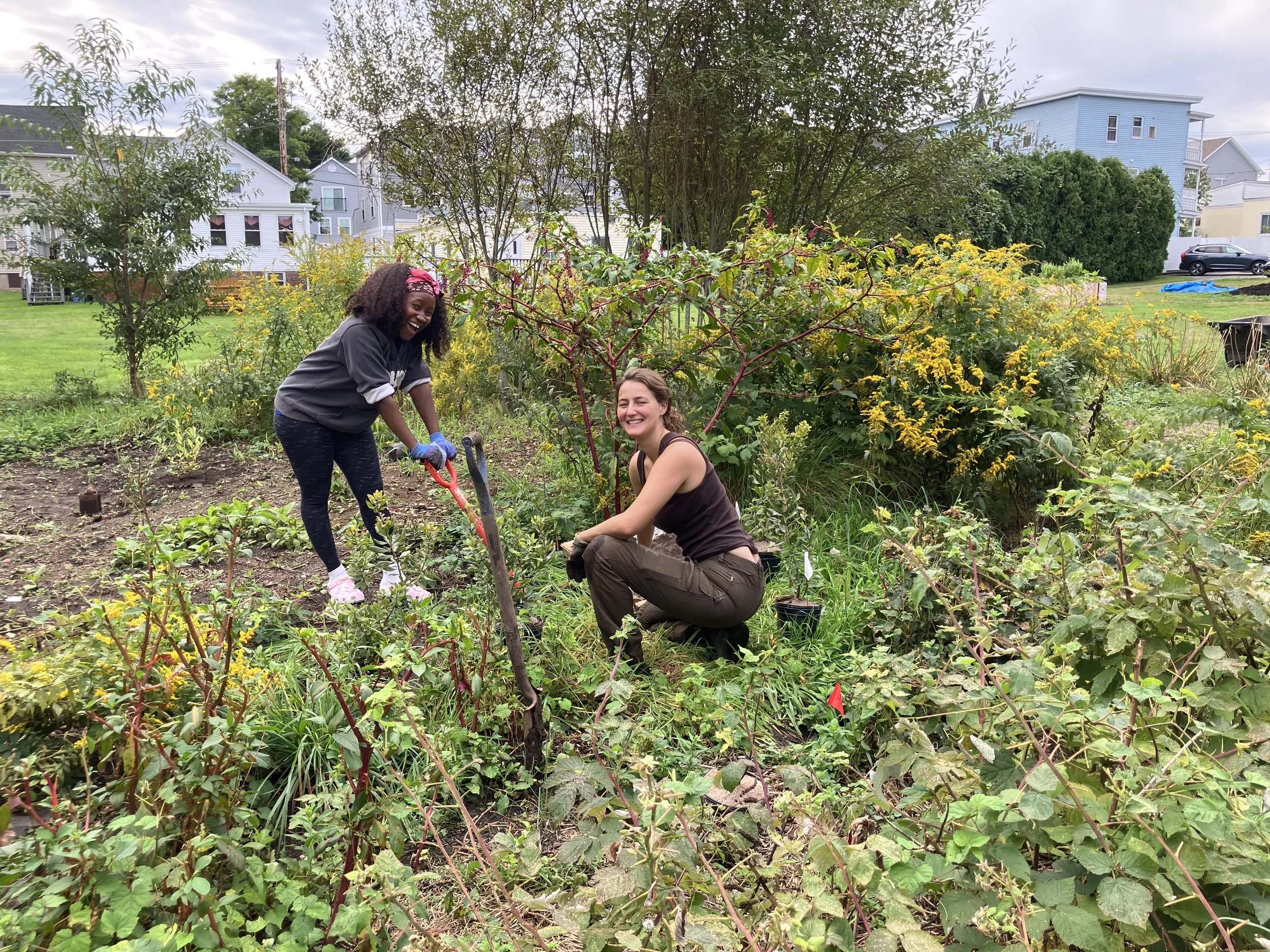 Corliss highlights.jpg