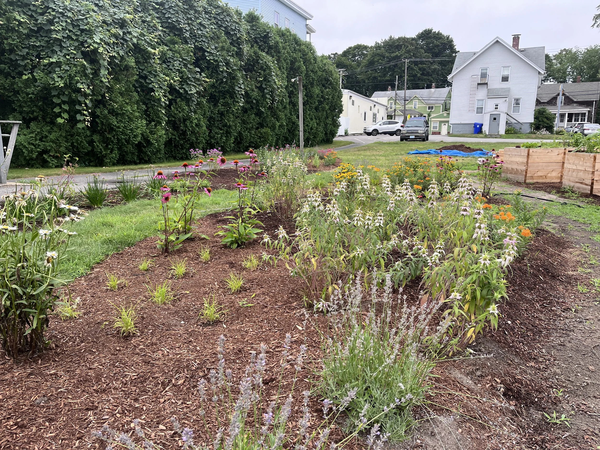 Corliss closing image.jpeg