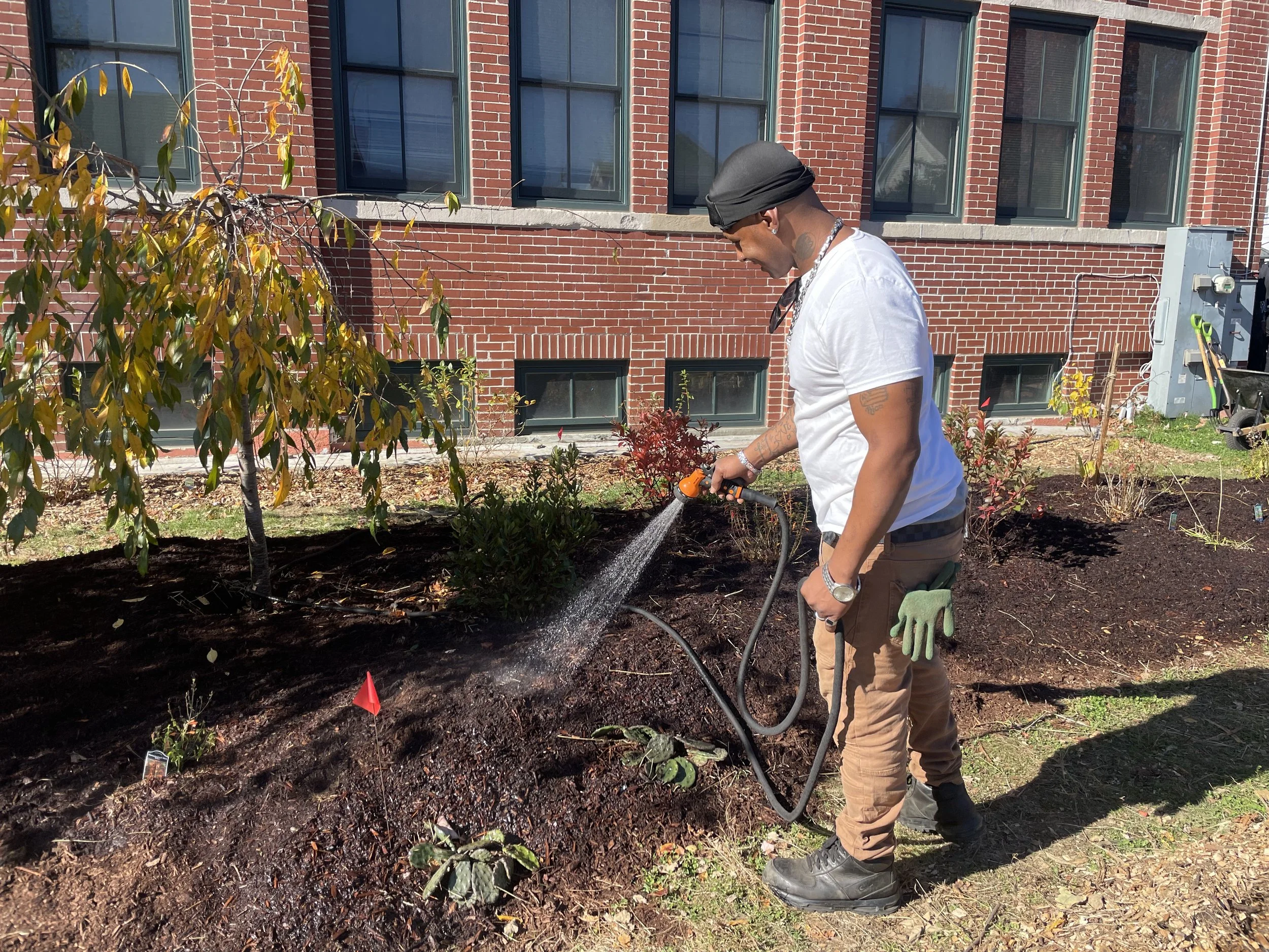 OpenDoors what emerged.jpeg