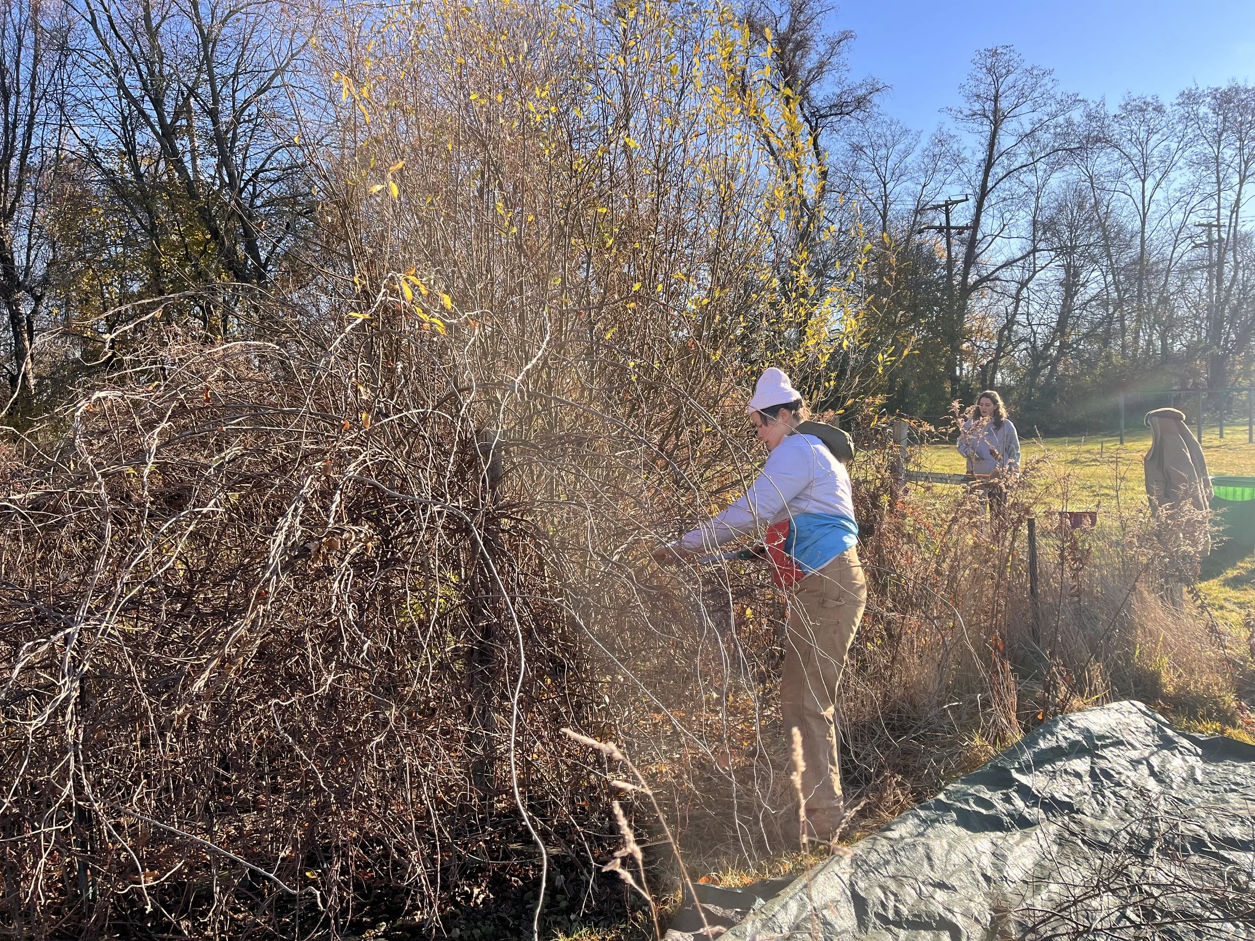 corliss contraints.jpeg