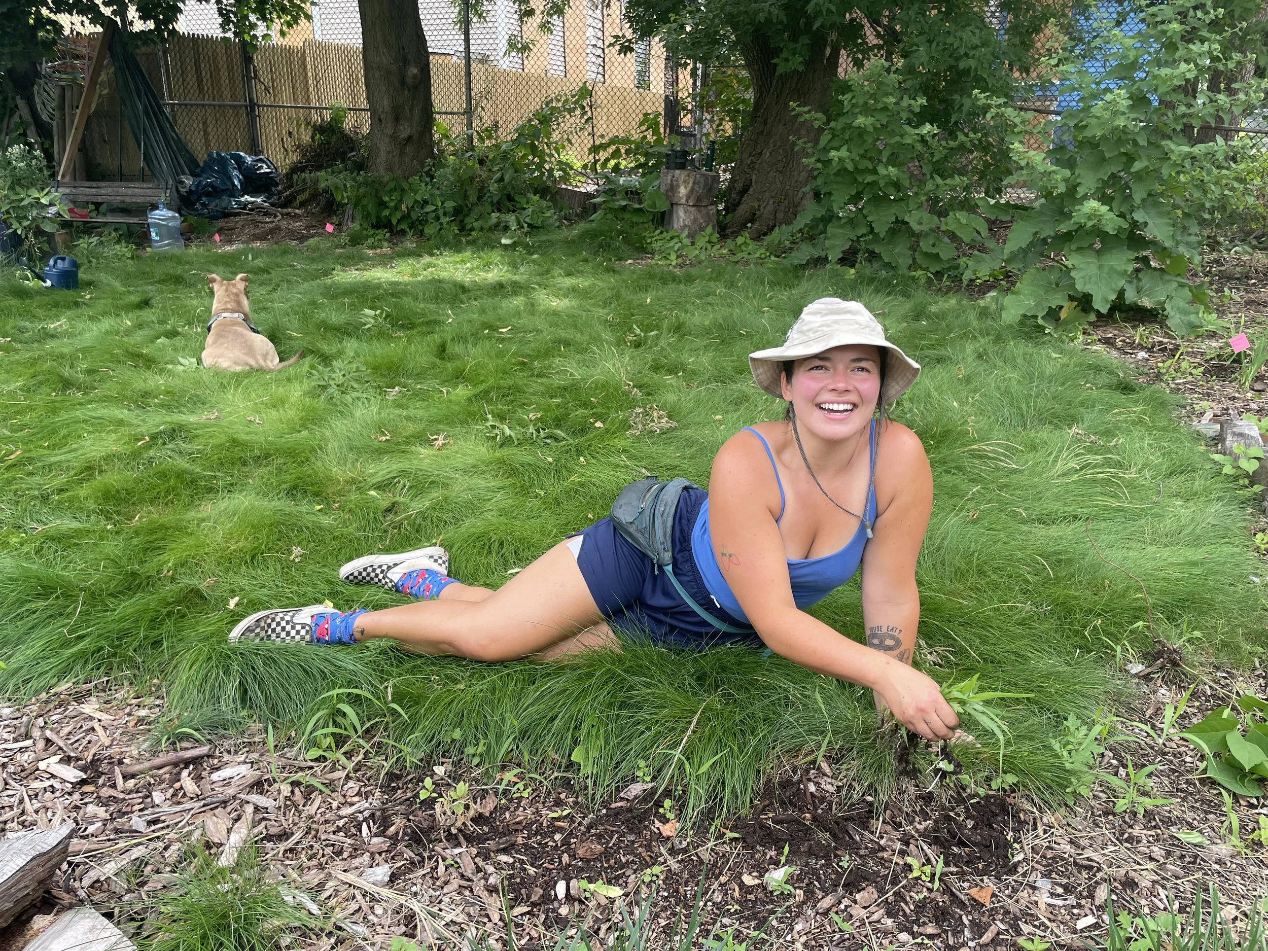 Pearl Street Garden No-mow Fescue Lawn.jpeg